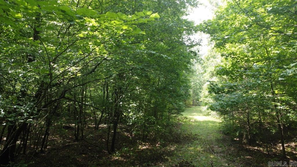 TBD Markerville Road  Story, AR