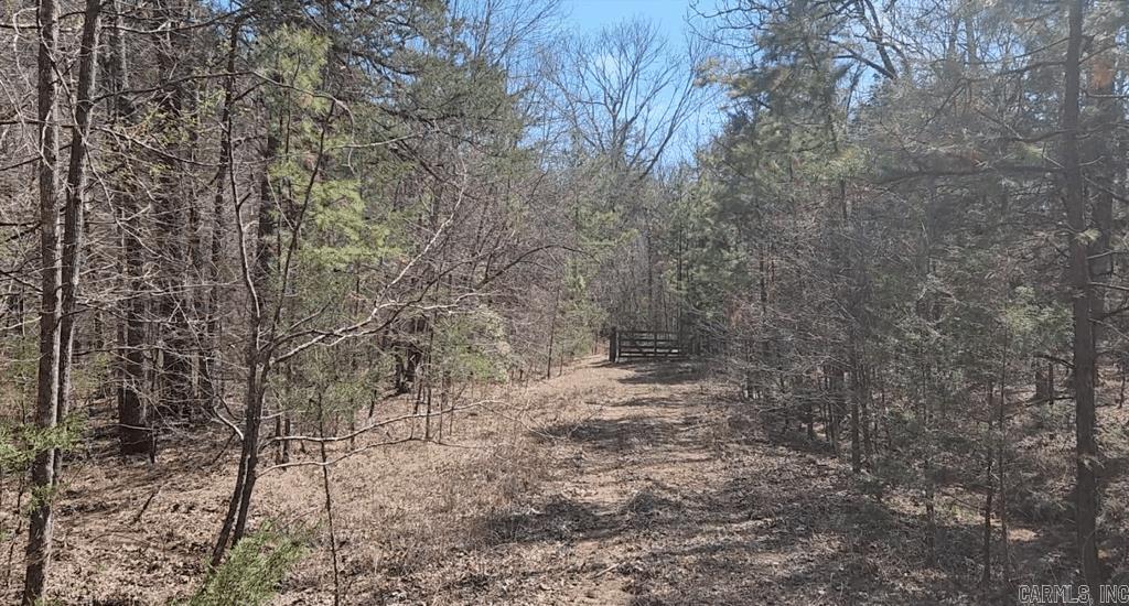 TBD Markerville Road  Story, AR