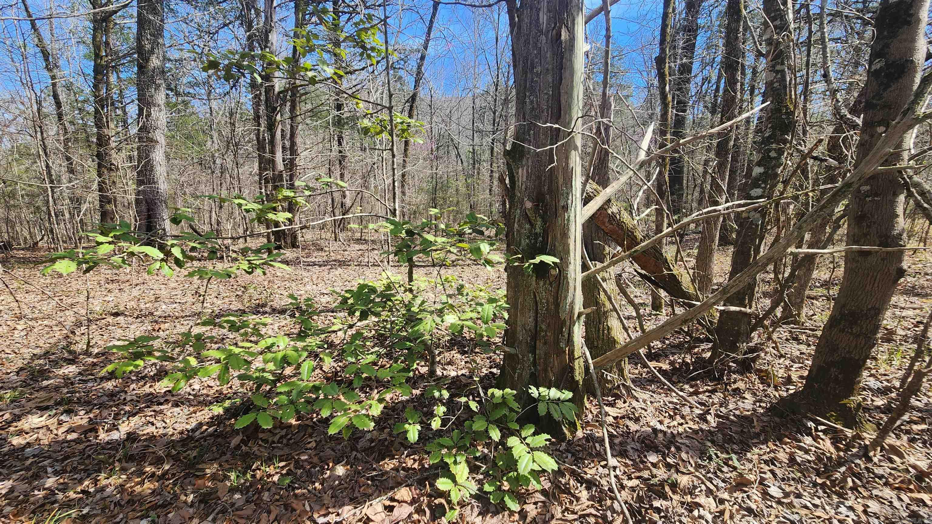 TBD Markerville Road  Story, AR