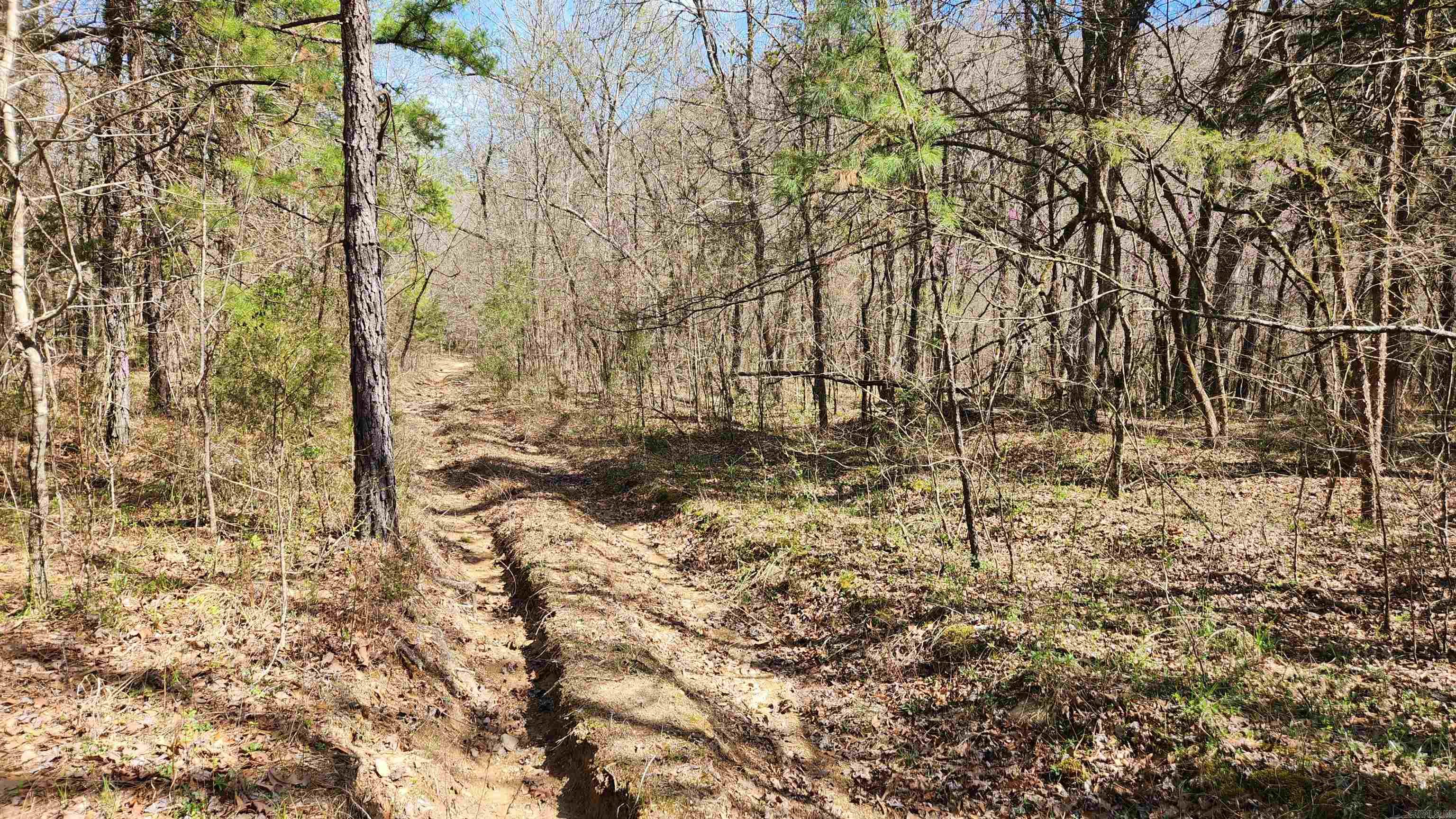 TBD Markerville Road  Story, AR