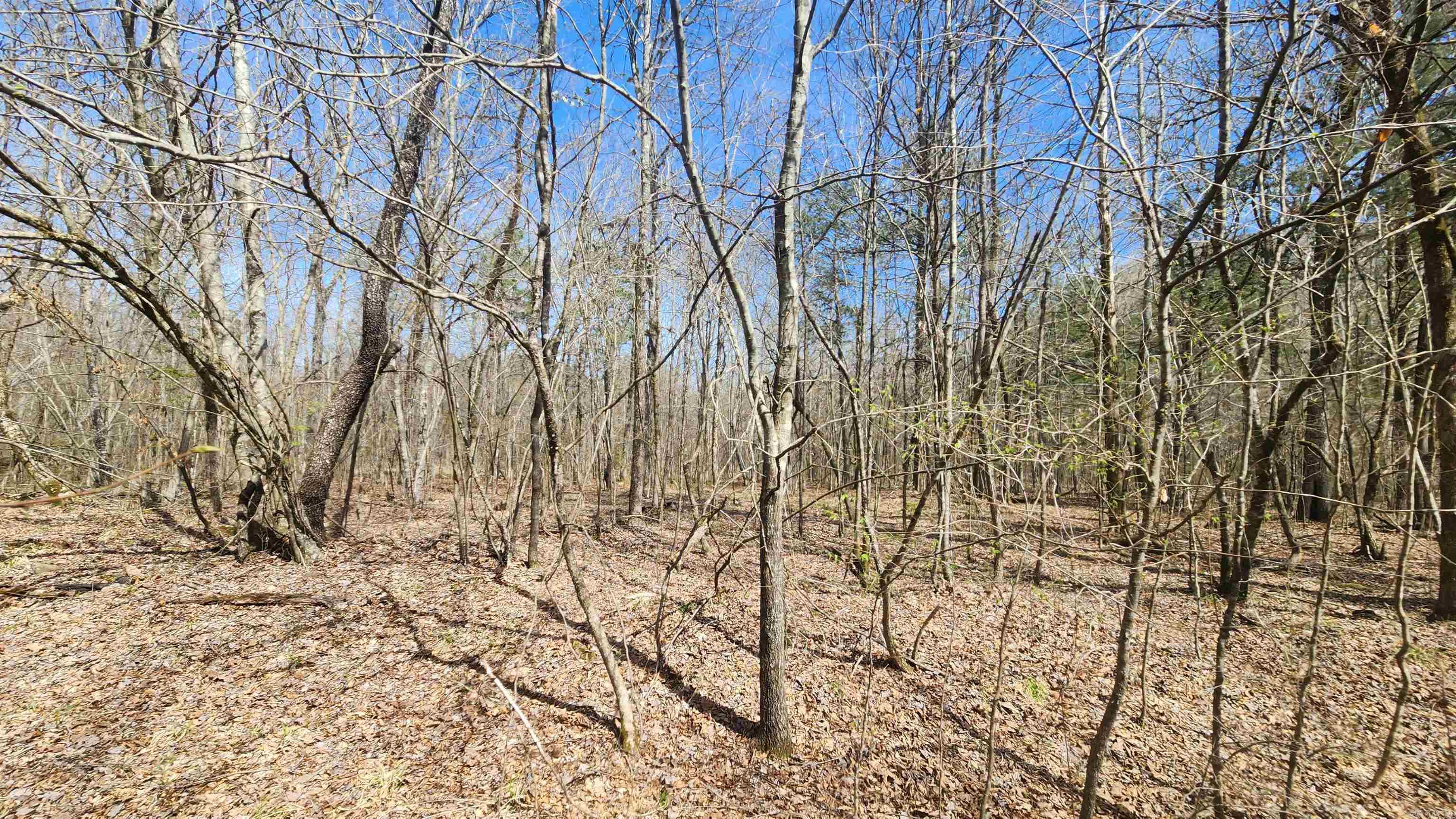 TBD Markerville Road  Story, AR