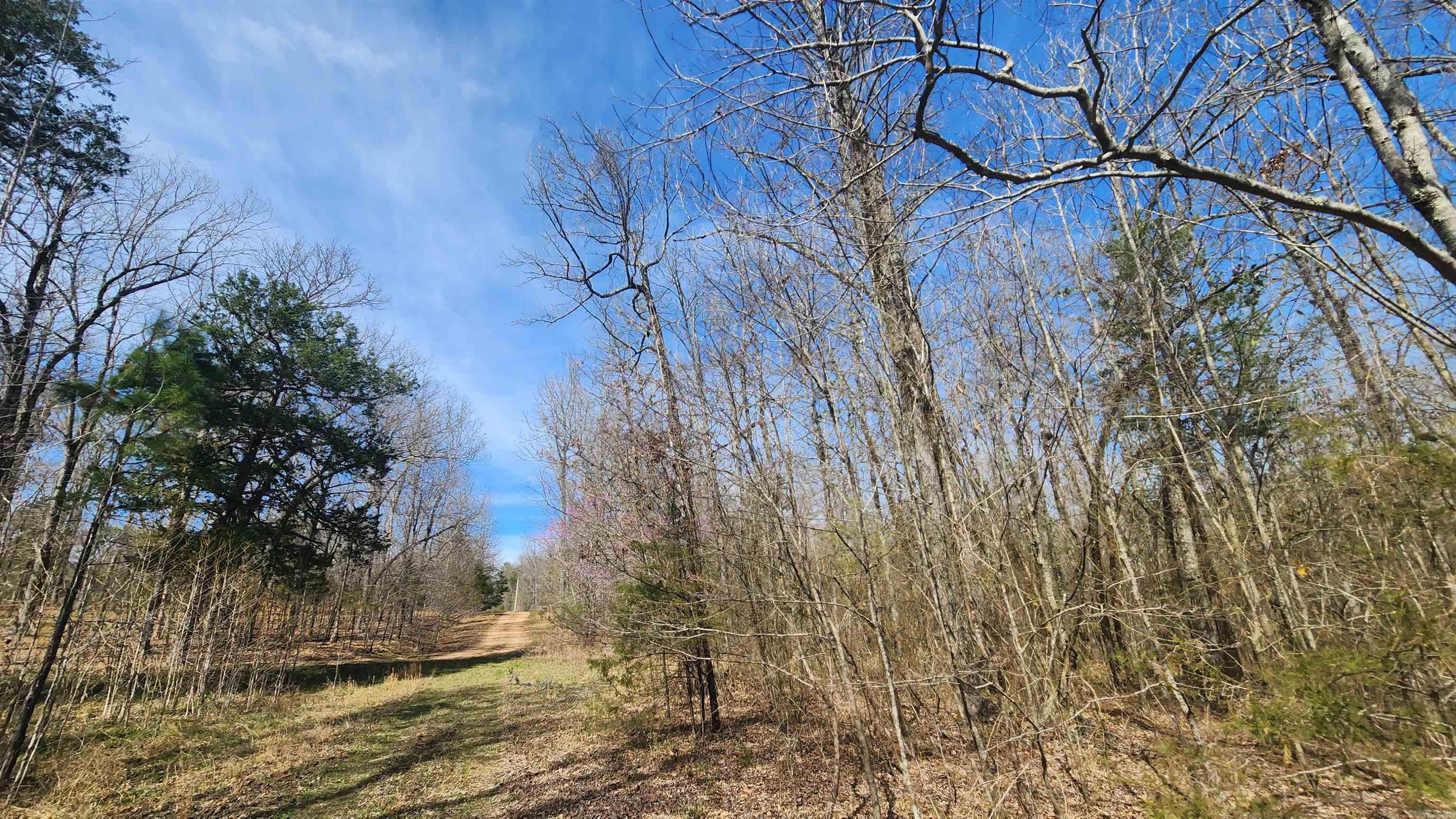 TBD Markerville Road  Story, AR