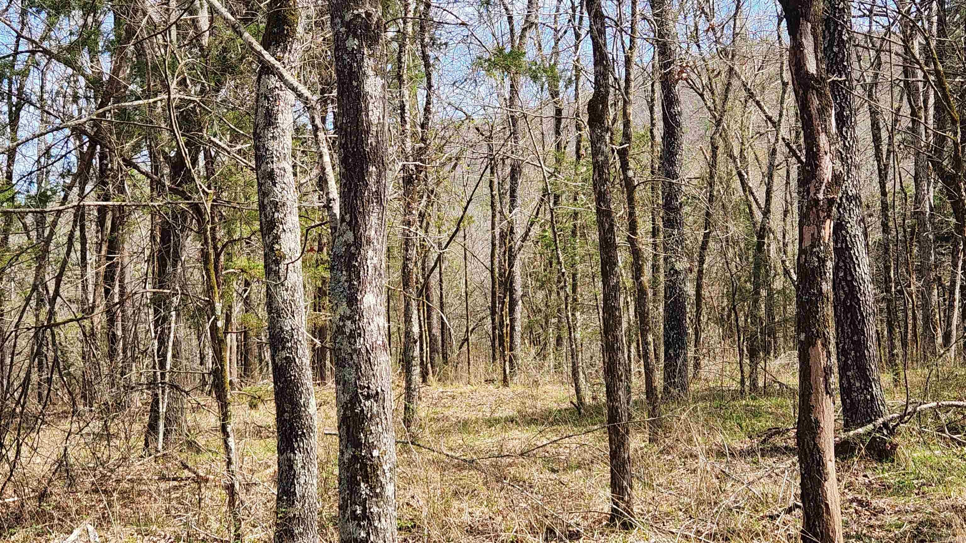 TBD Markerville Road  Story, AR