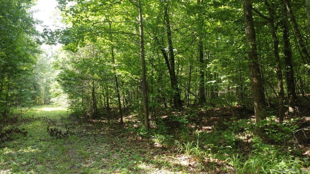 TBD Markerville Road  Story, AR