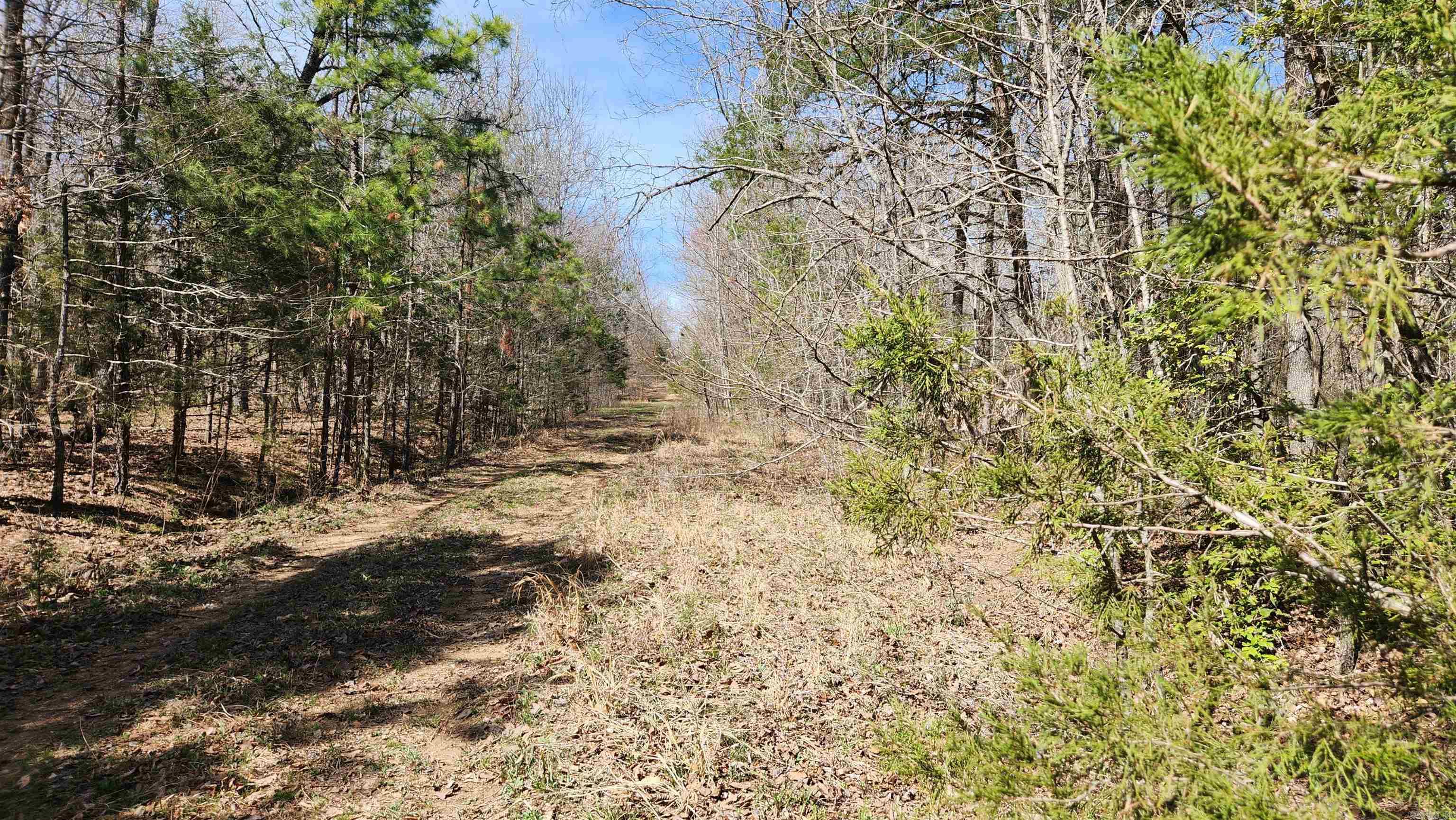 TBD Markerville Road  Story, AR