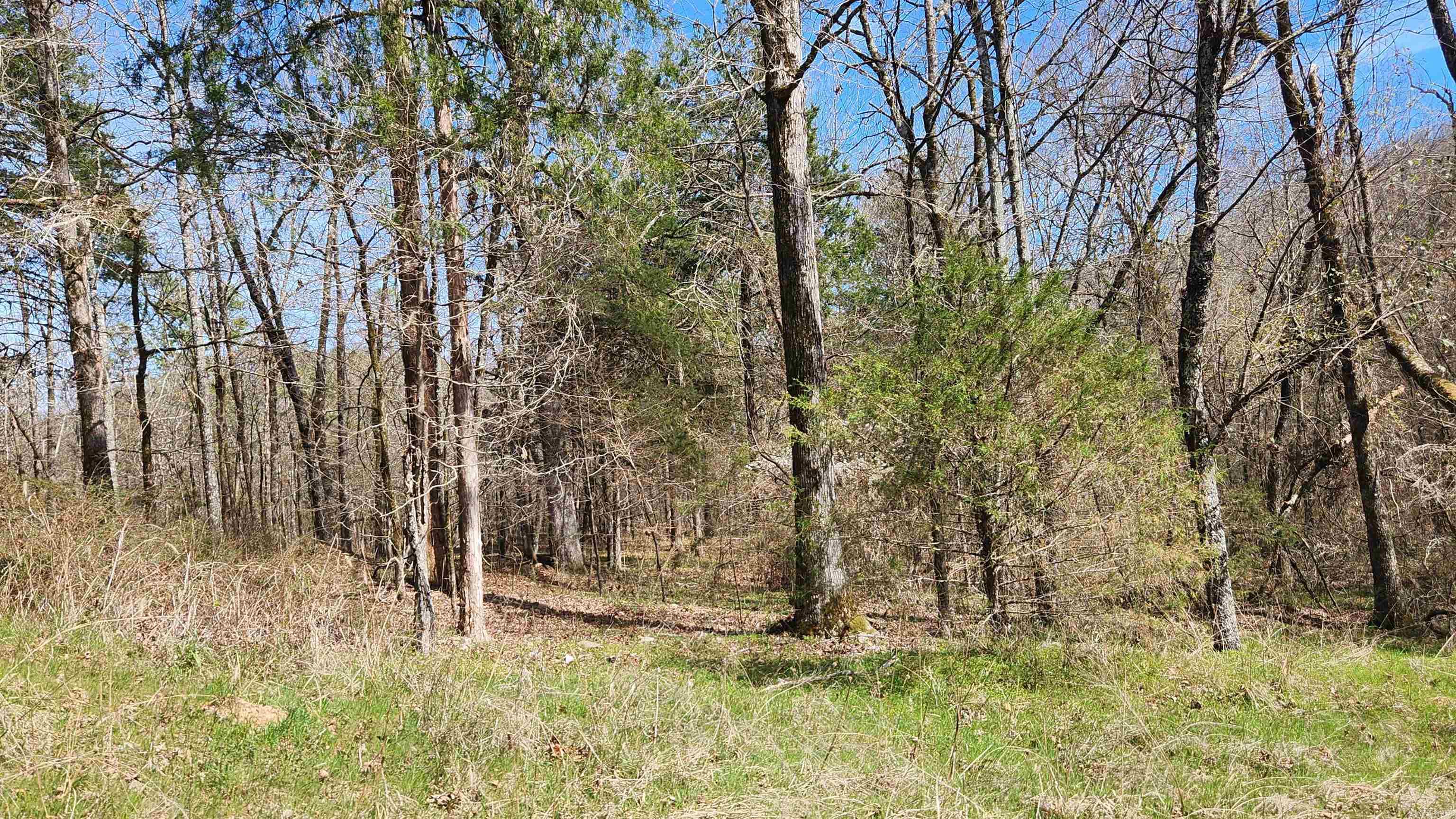 TBD Markerville Road  Story, AR