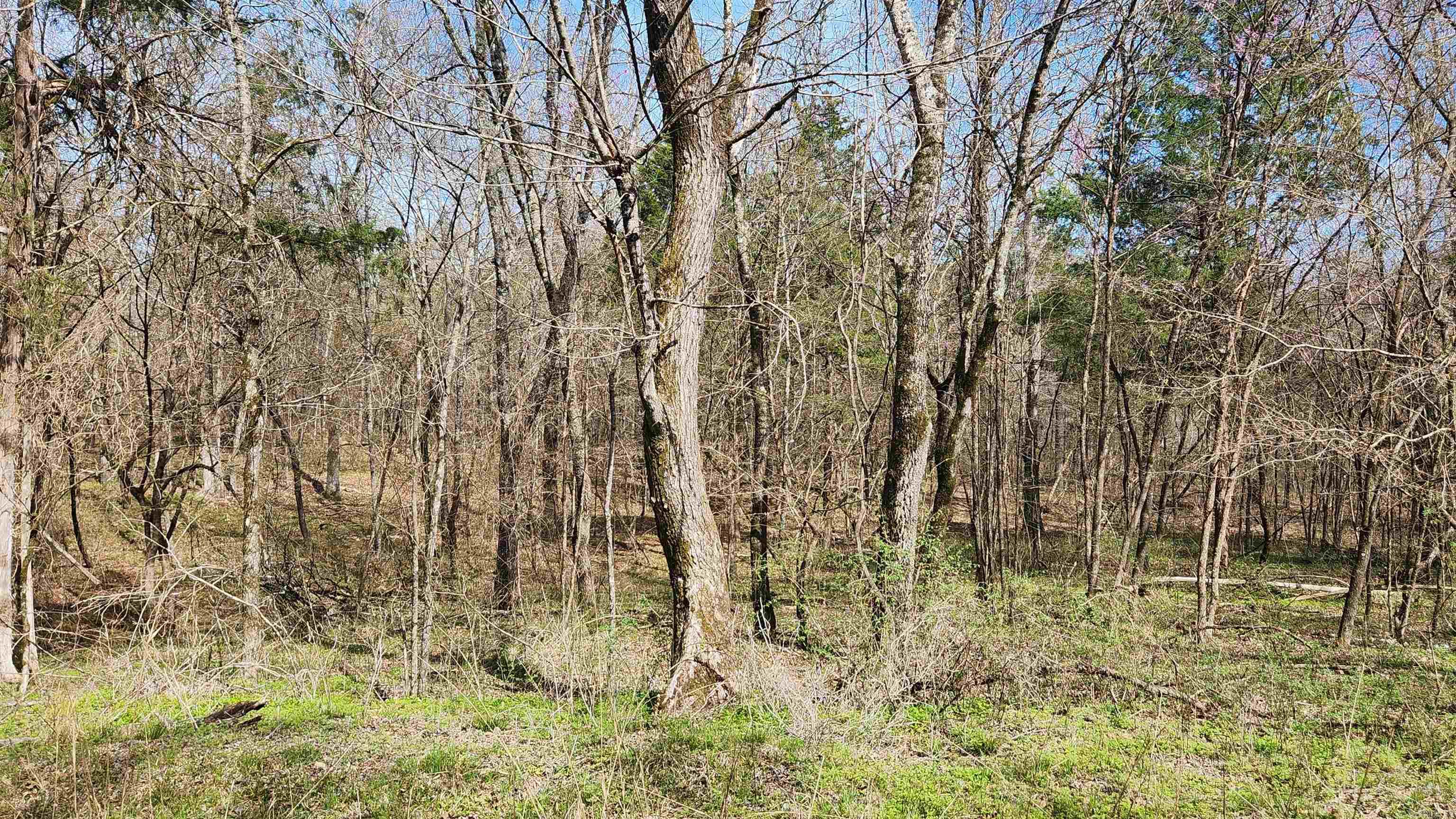TBD Markerville Road  Story, AR