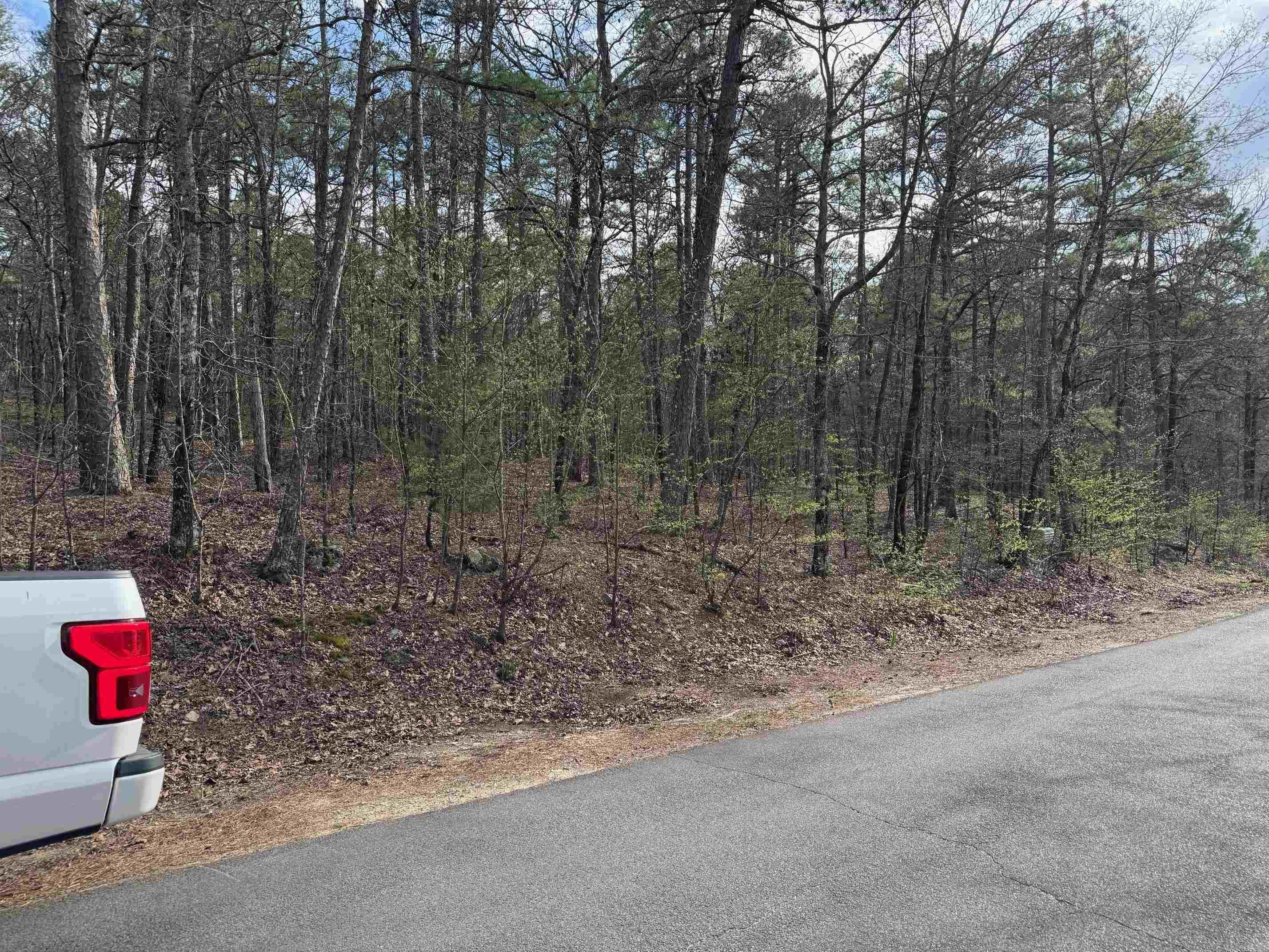 18 FINEZA WAY  Hot Springs Village, AR