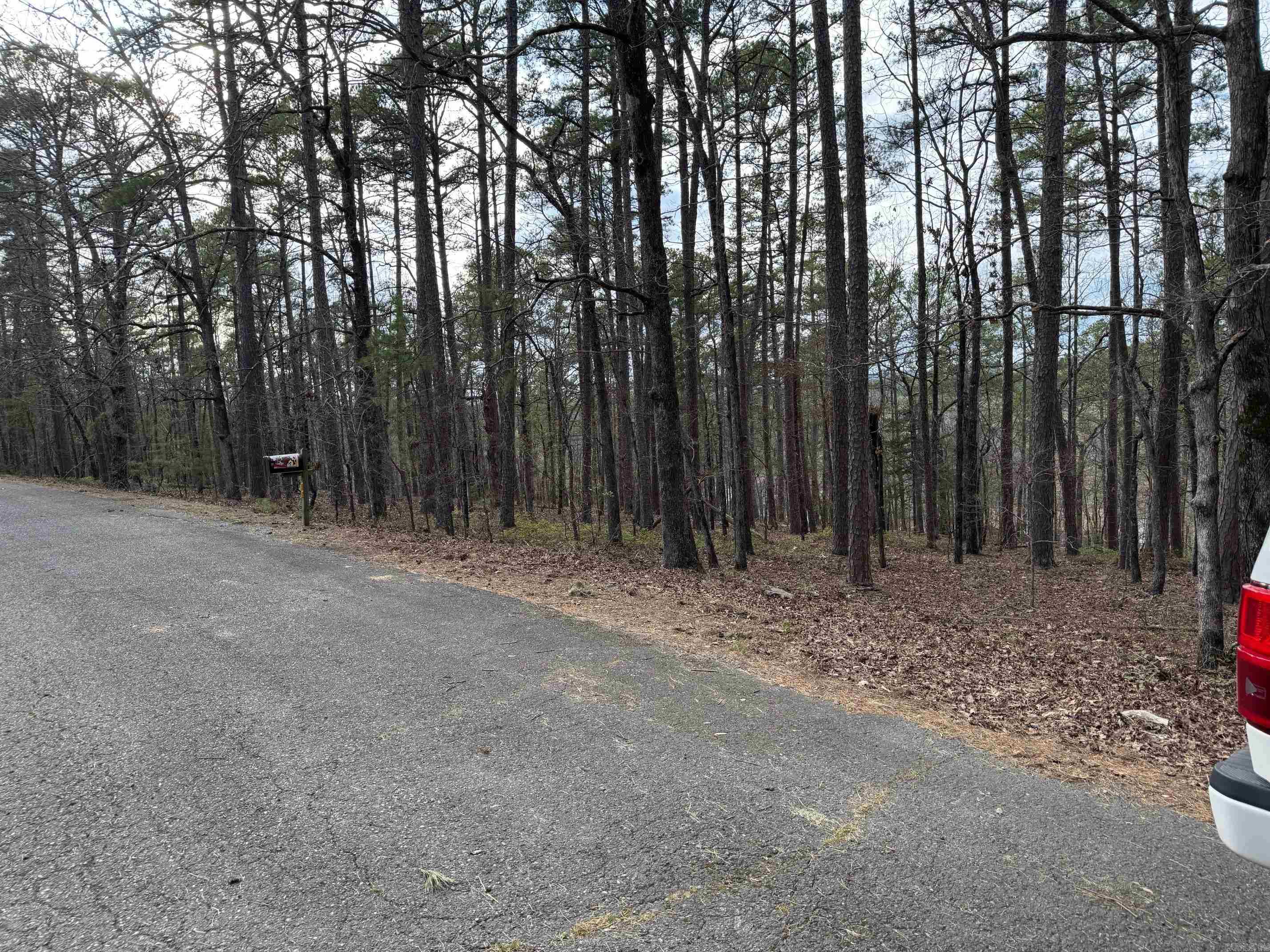 42 ESTANCIA CIRCLE  Hot Springs Village, AR