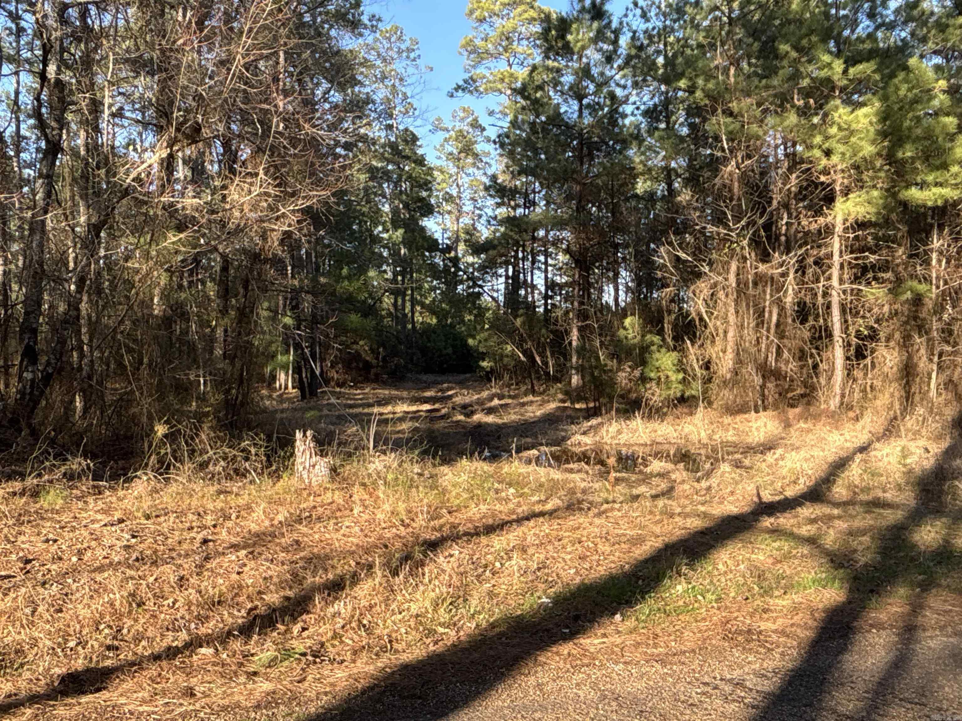 1 West Dallas County Line  Sparkman, AR