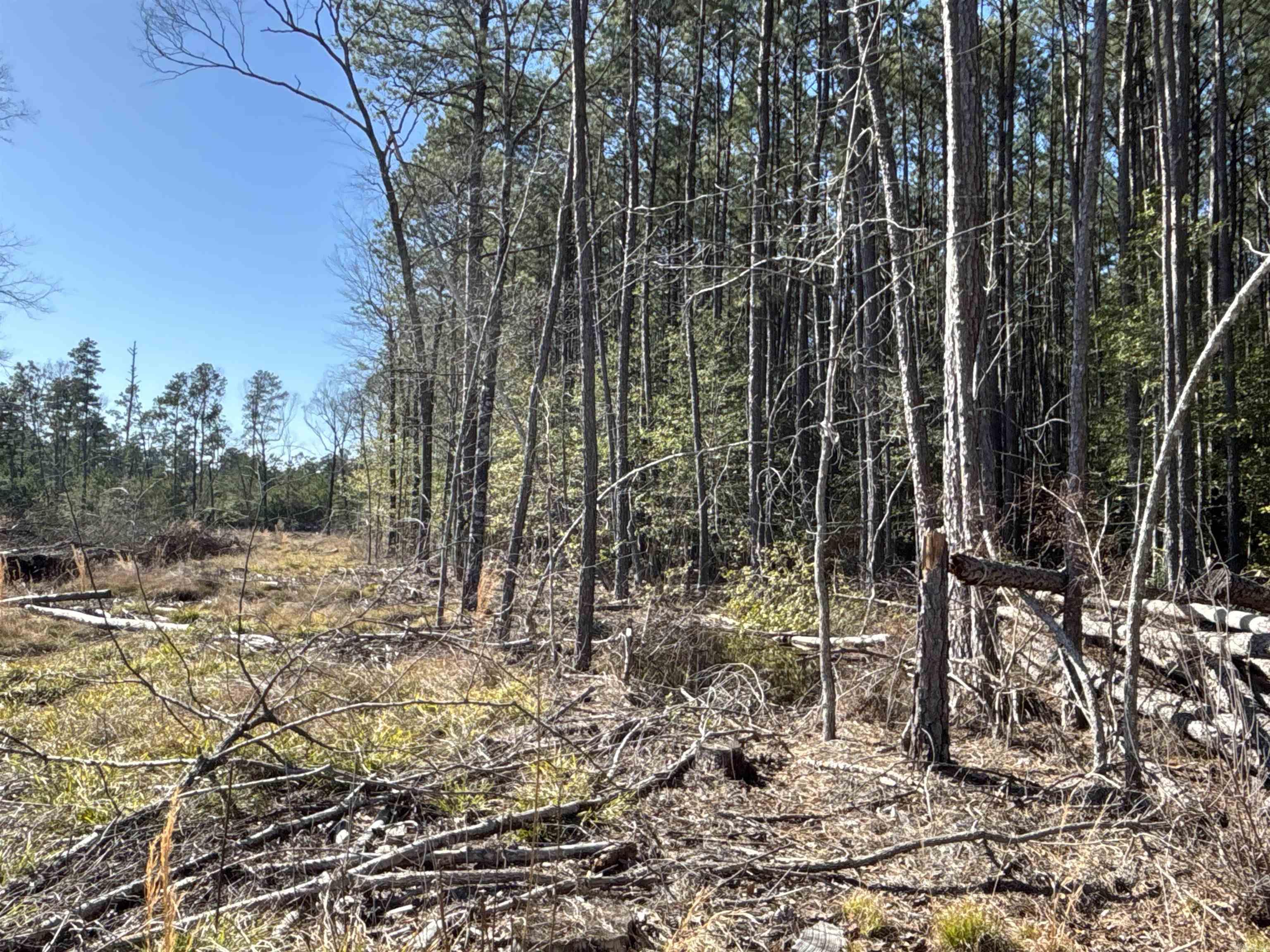 1 West Dallas County Line 20  Sparkman, AR