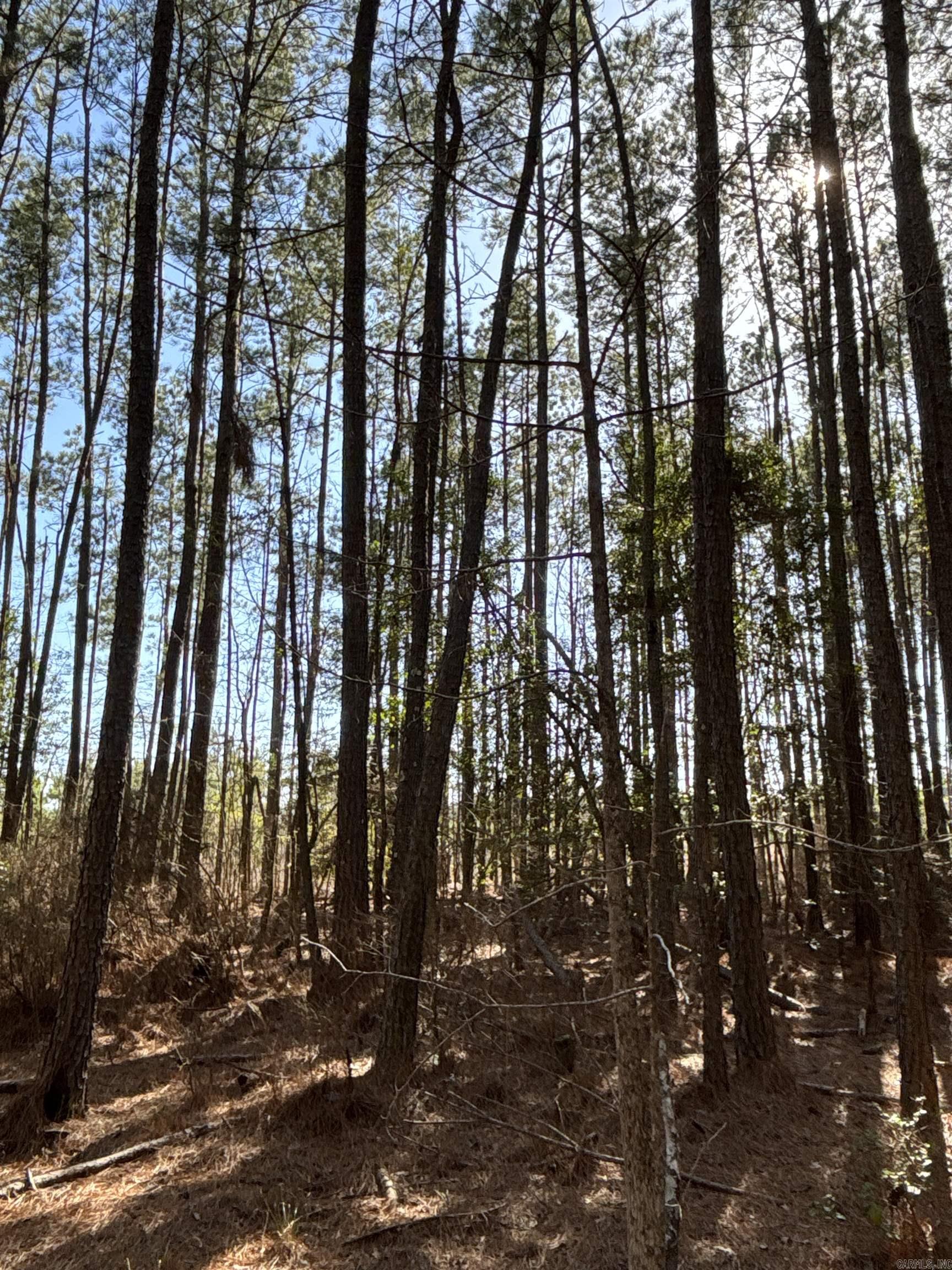 1 West Dallas County Line 20  Sparkman, AR