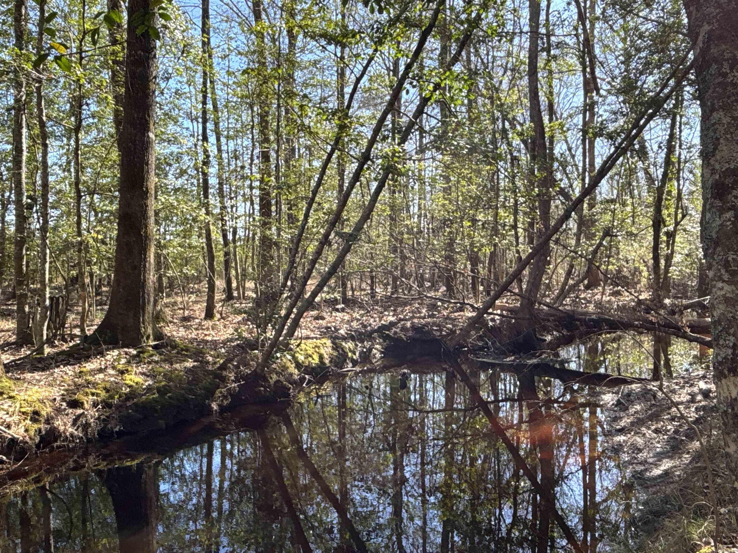 1 Palmetto Rd  Sparkman, AR