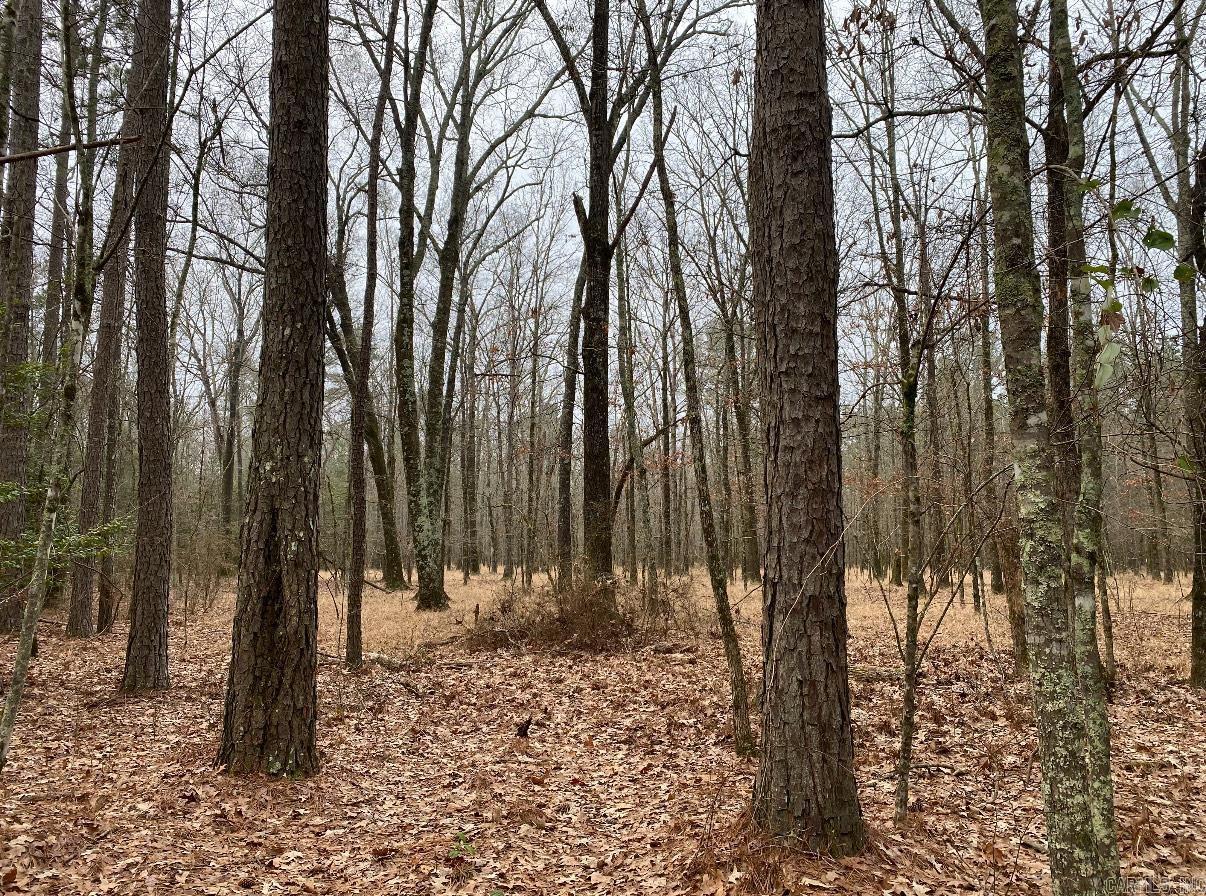 *** Bradley 114 Road  Johnsville, AR