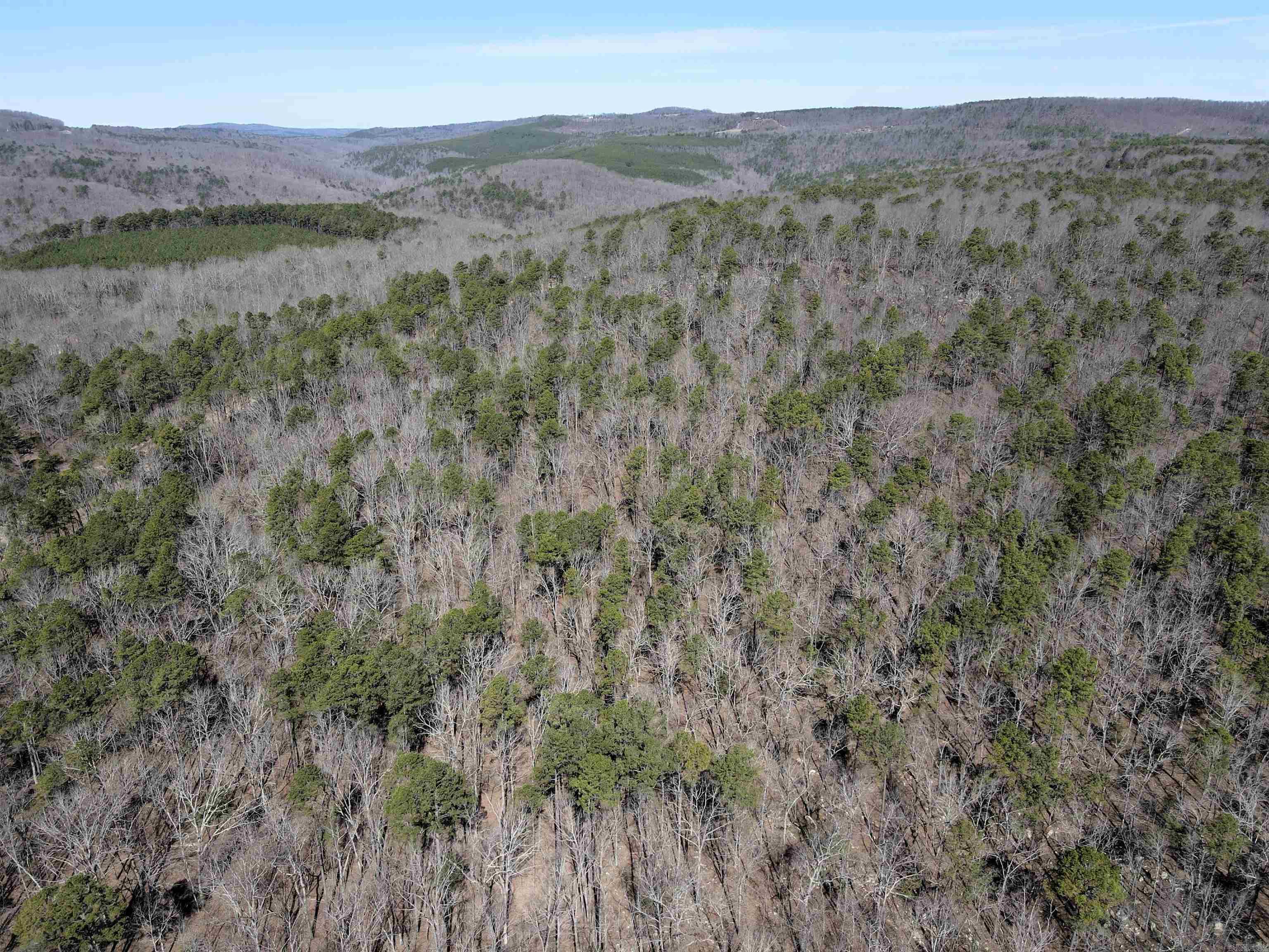 4429 Oyler  Clinton, AR