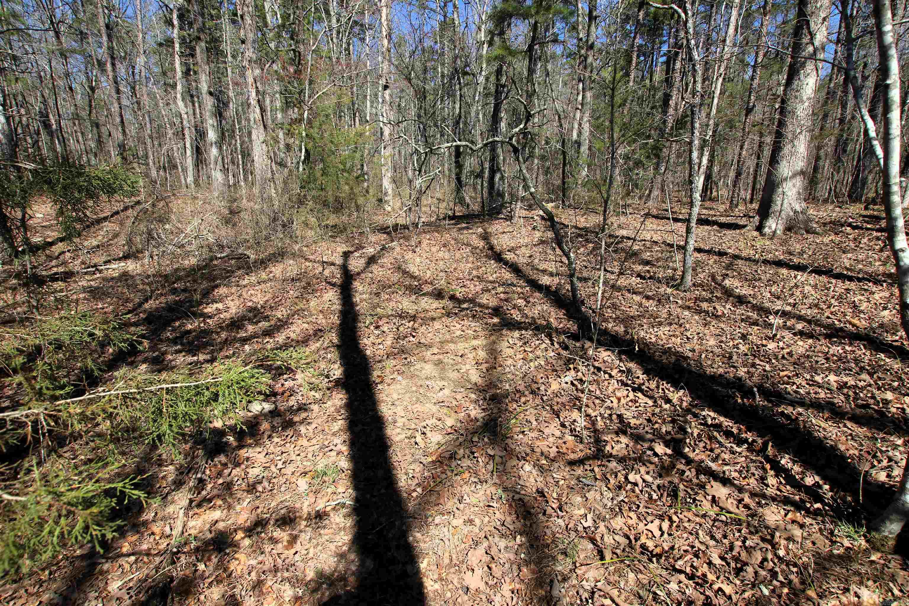 4429 Oyler  Clinton, AR
