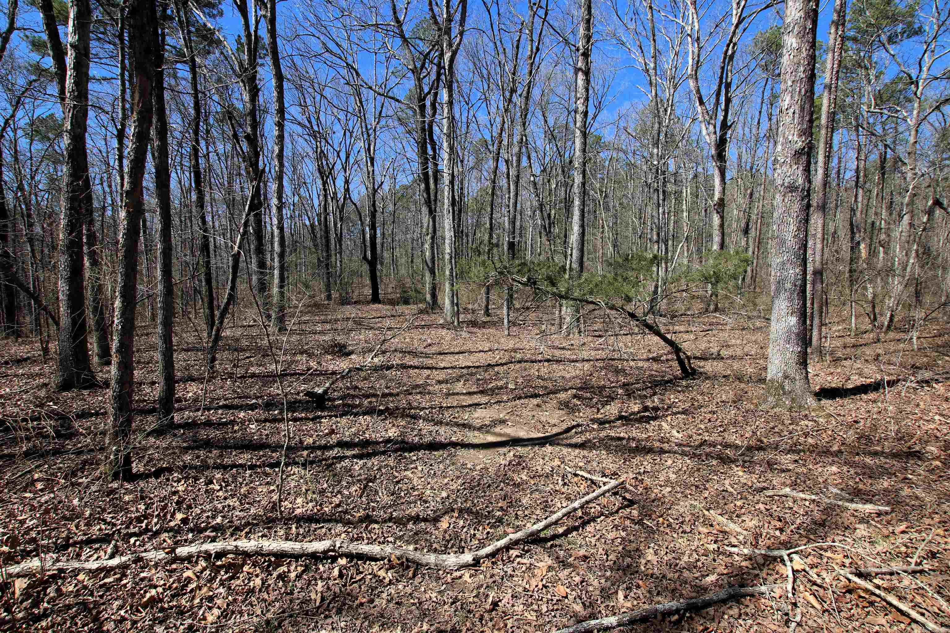4429 Oyler  Clinton, AR