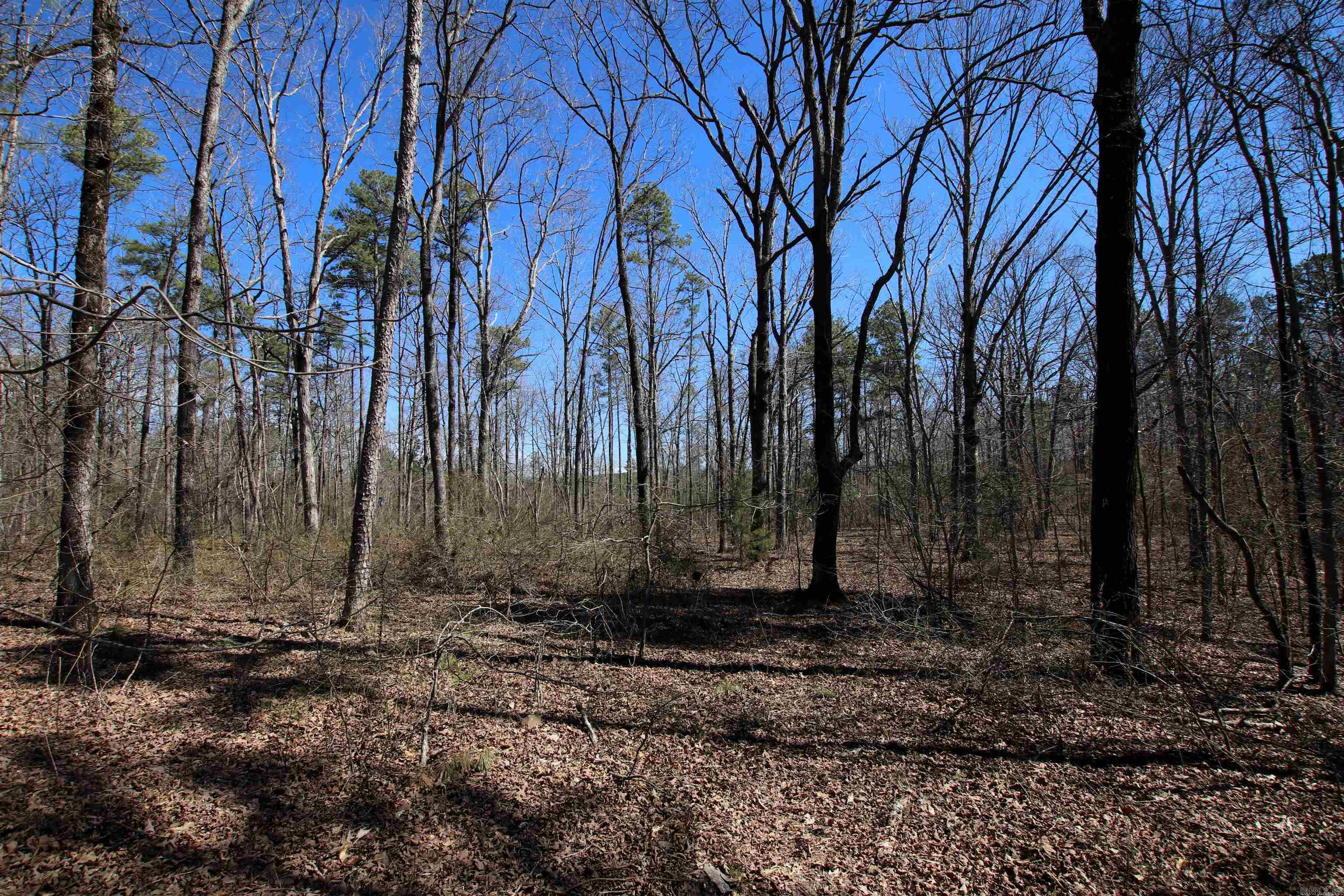 4429 Oyler  Clinton, AR