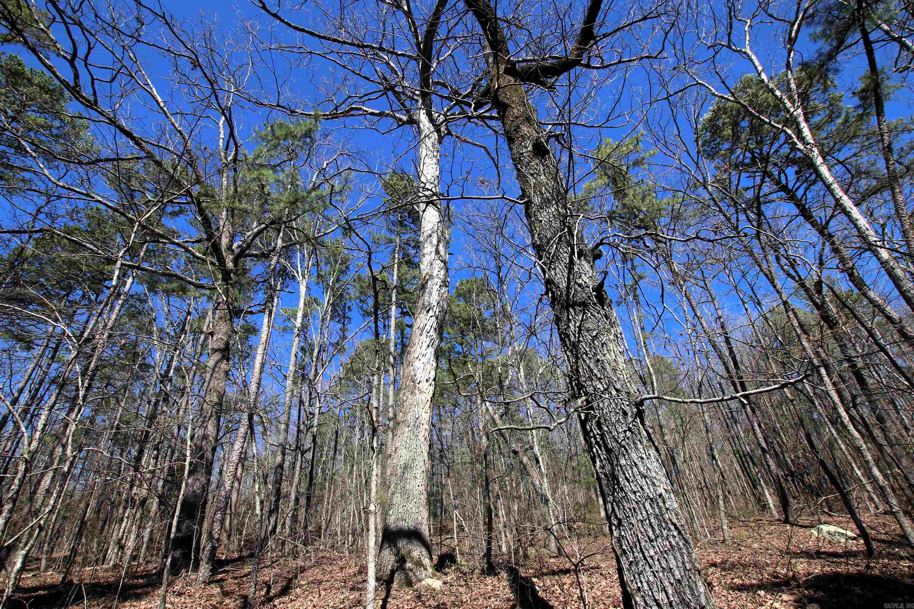 4429 Oyler  Clinton, AR