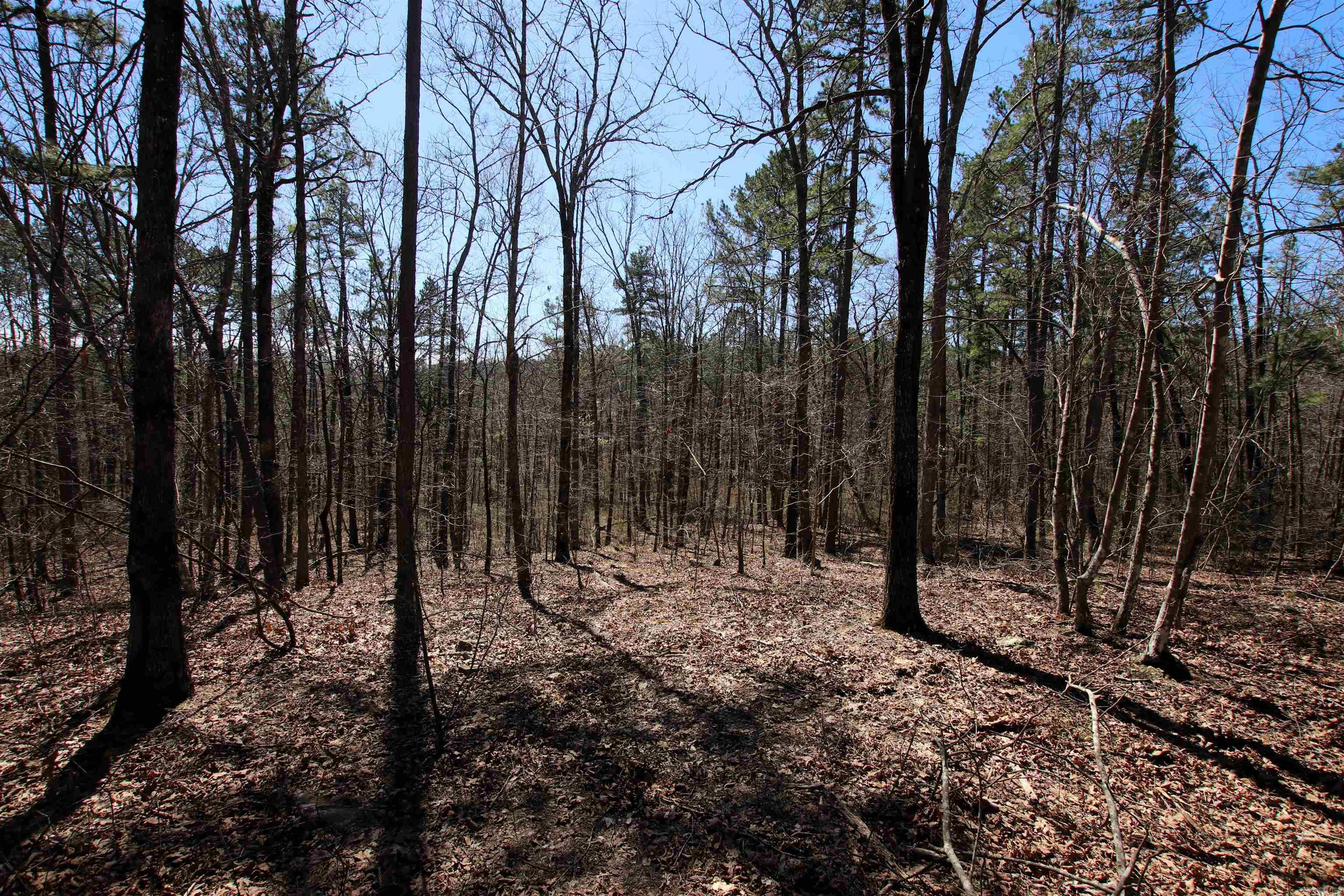 4429 Oyler  Clinton, AR