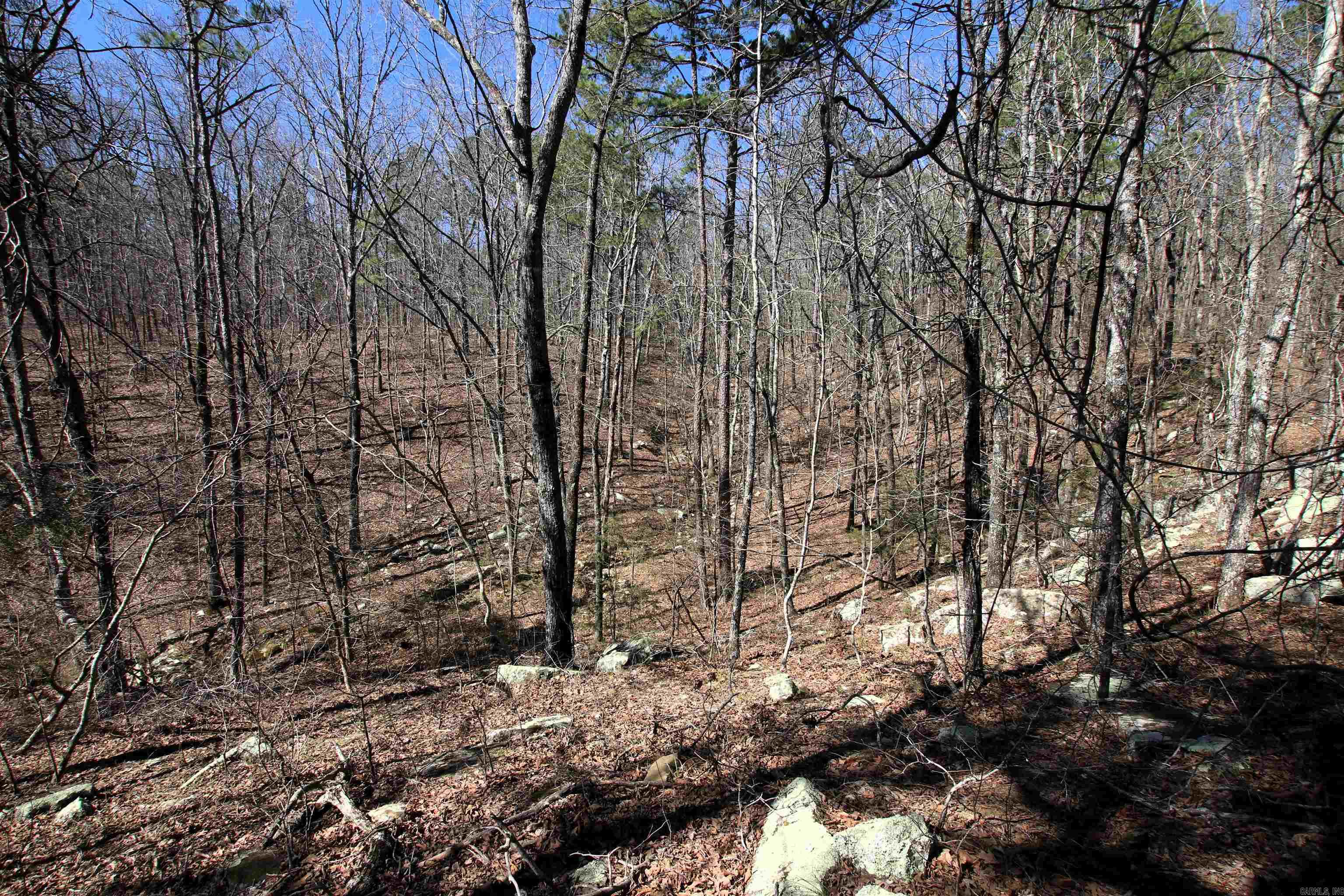 4429 Oyler  Clinton, AR
