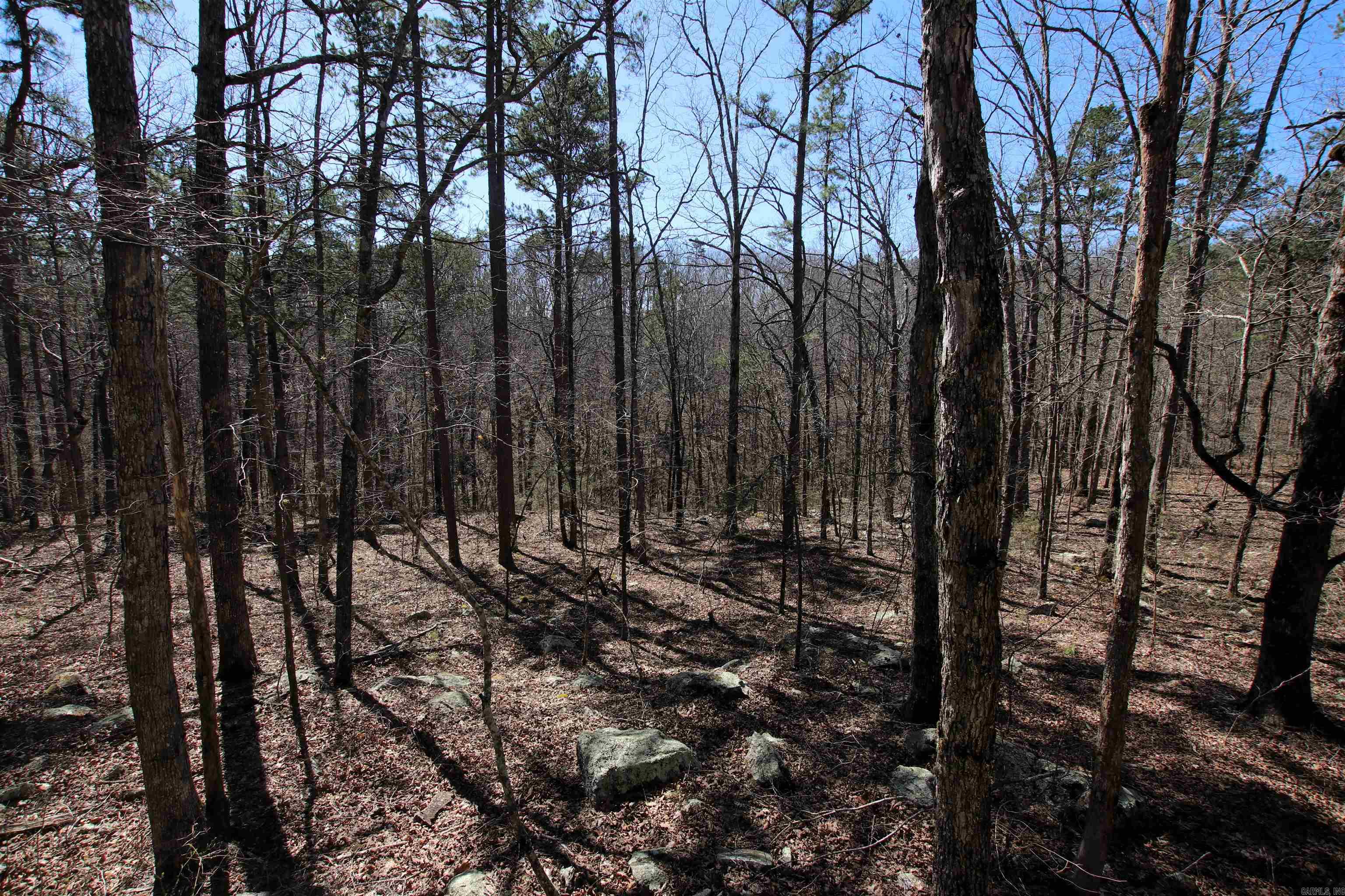 4429 Oyler  Clinton, AR