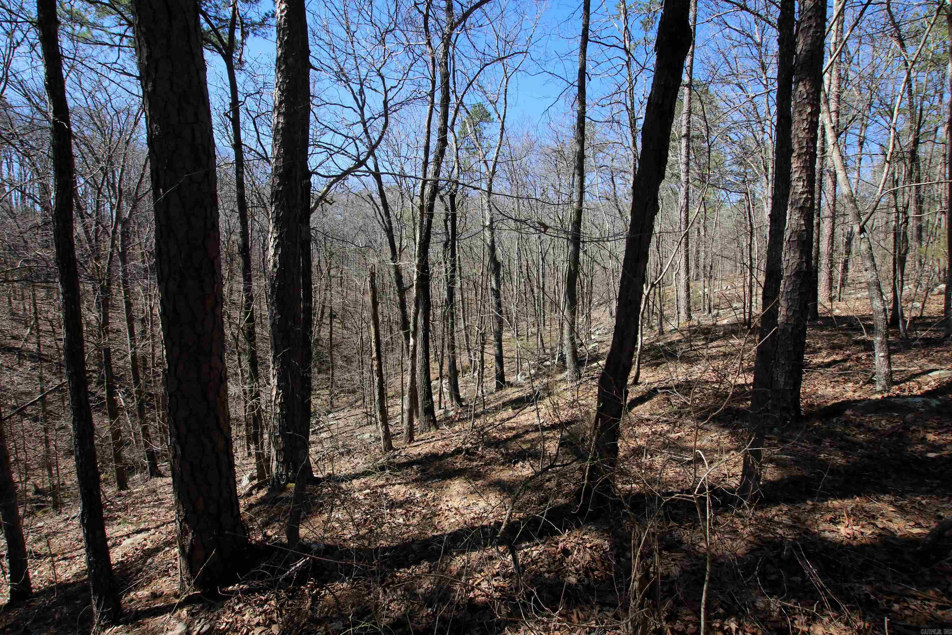 4429 Oyler  Clinton, AR