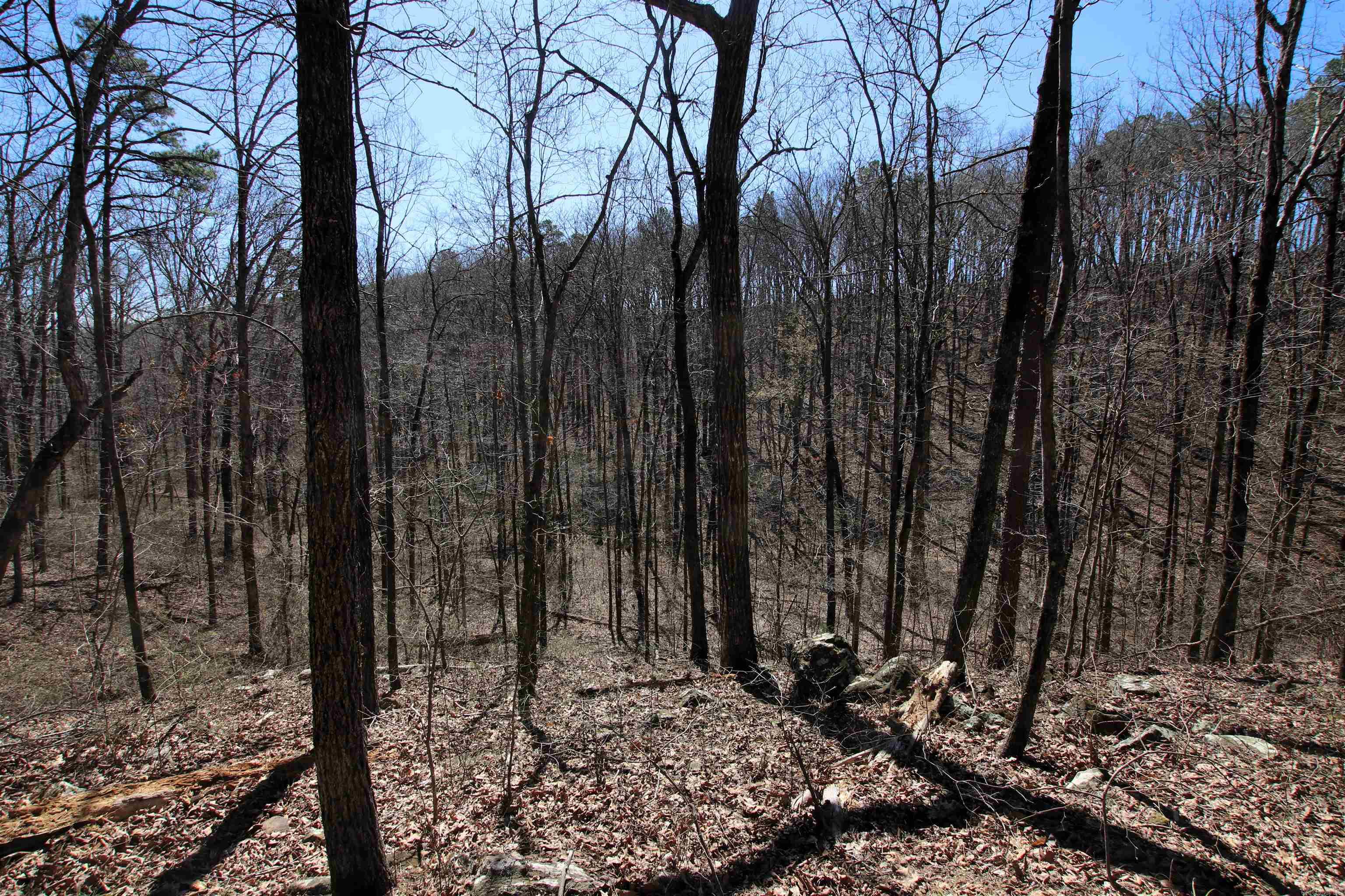 4429 Oyler  Clinton, AR