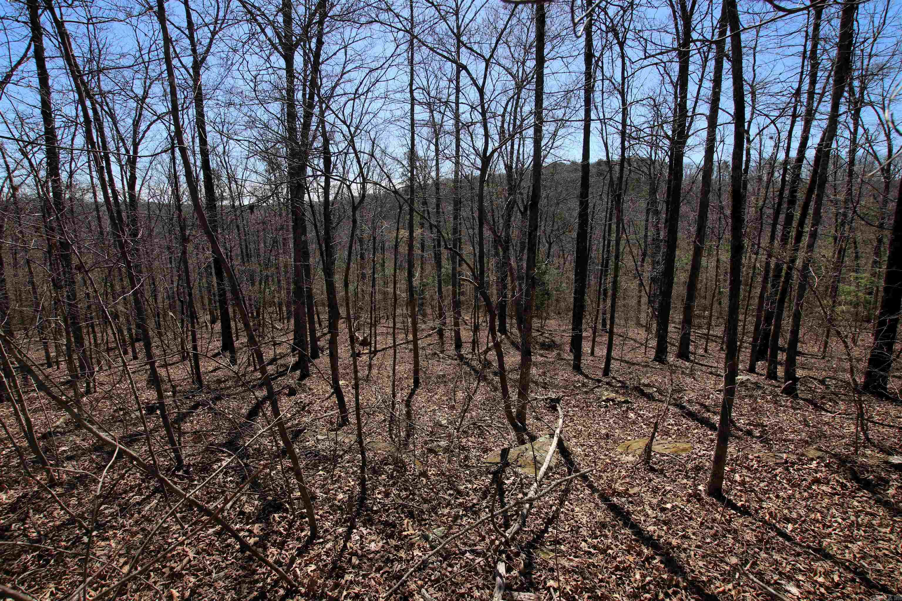 4429 Oyler  Clinton, AR