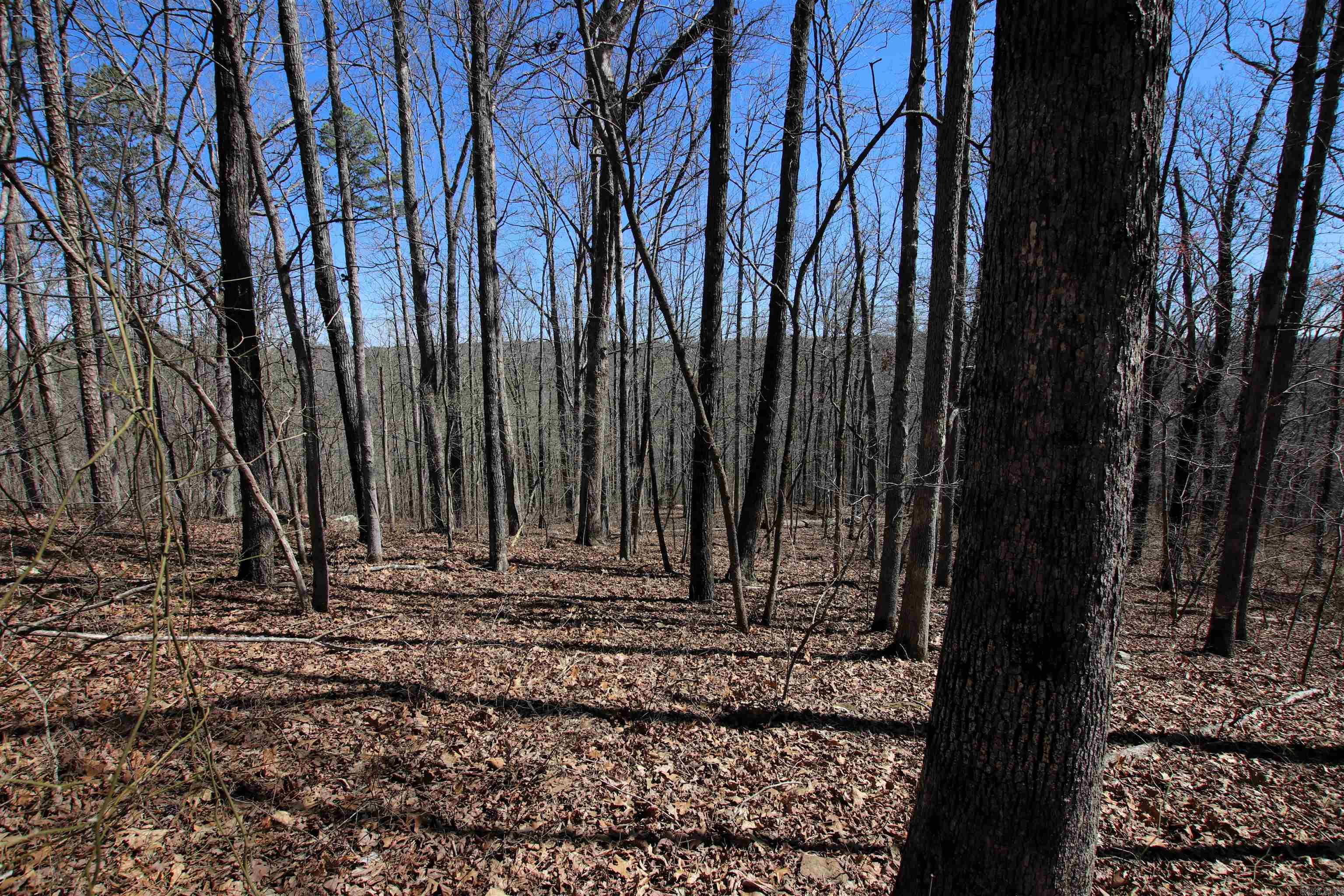 4429 Oyler  Clinton, AR
