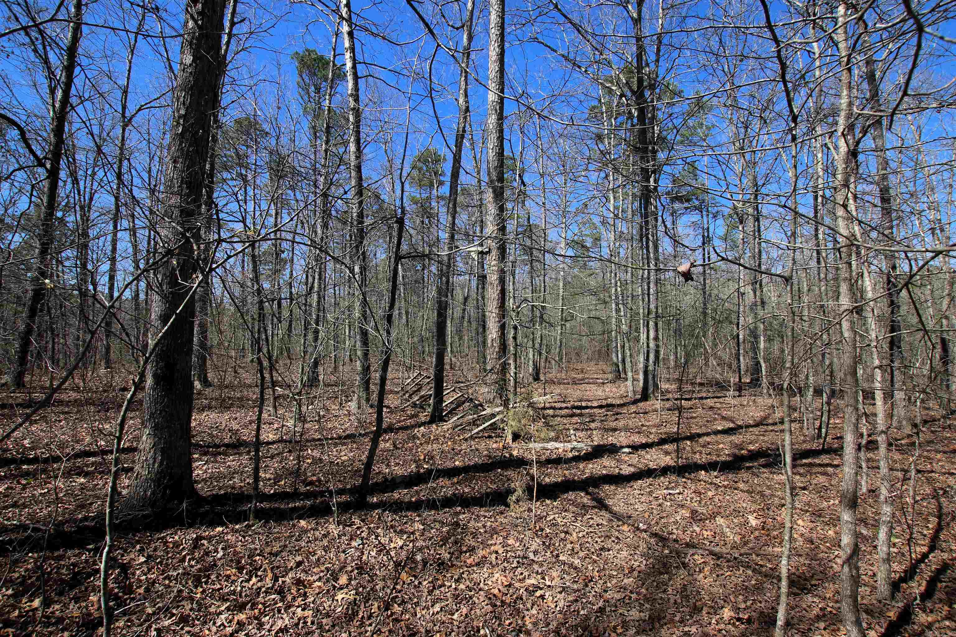 4429 Oyler  Clinton, AR