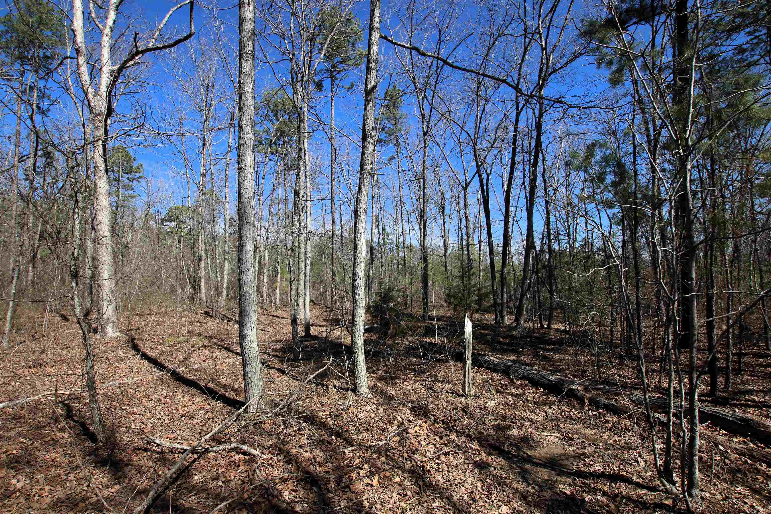 4429 Oyler  Clinton, AR