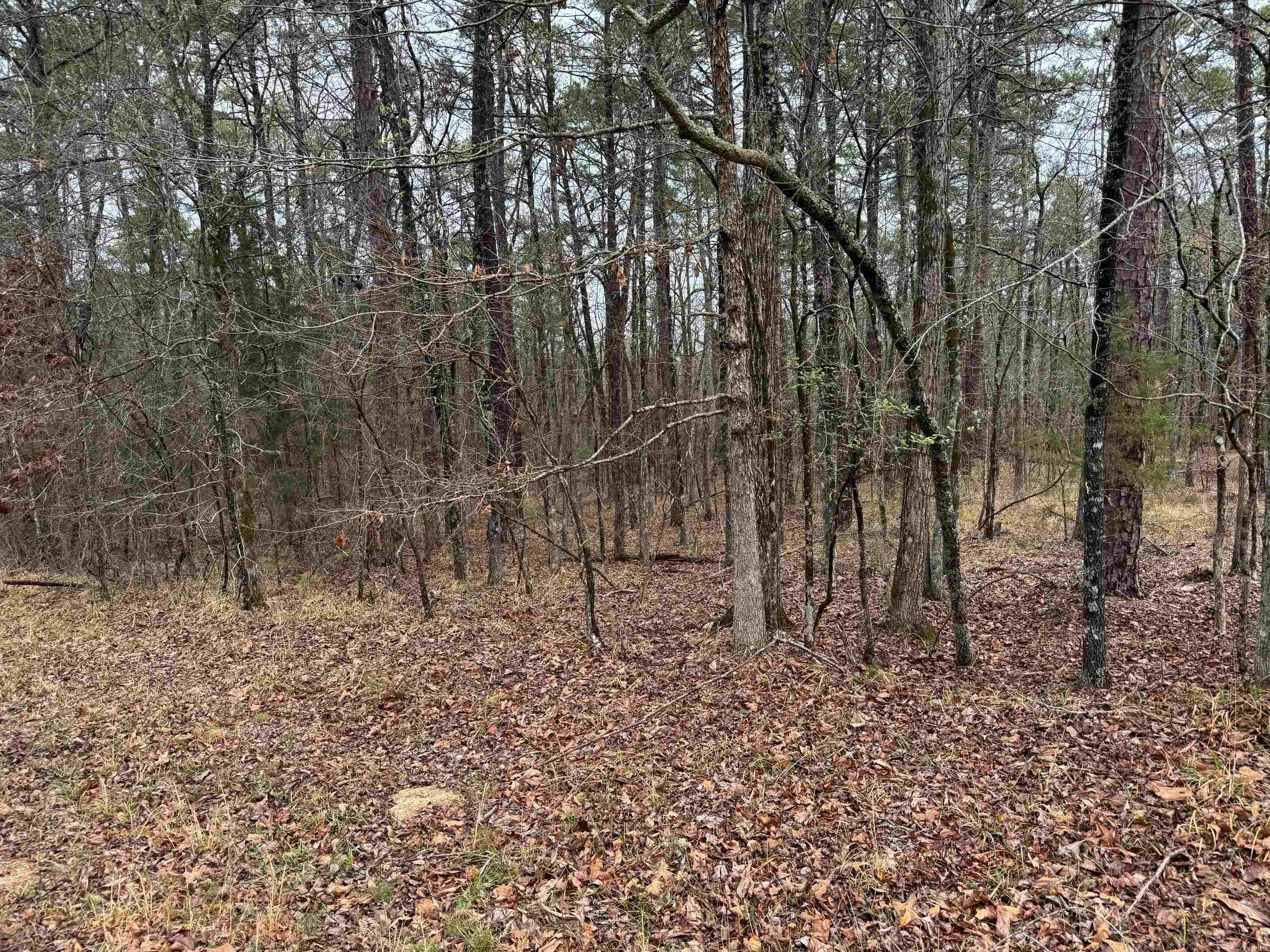 23 BRILLIANTE LANE  Hot Springs Village, AR