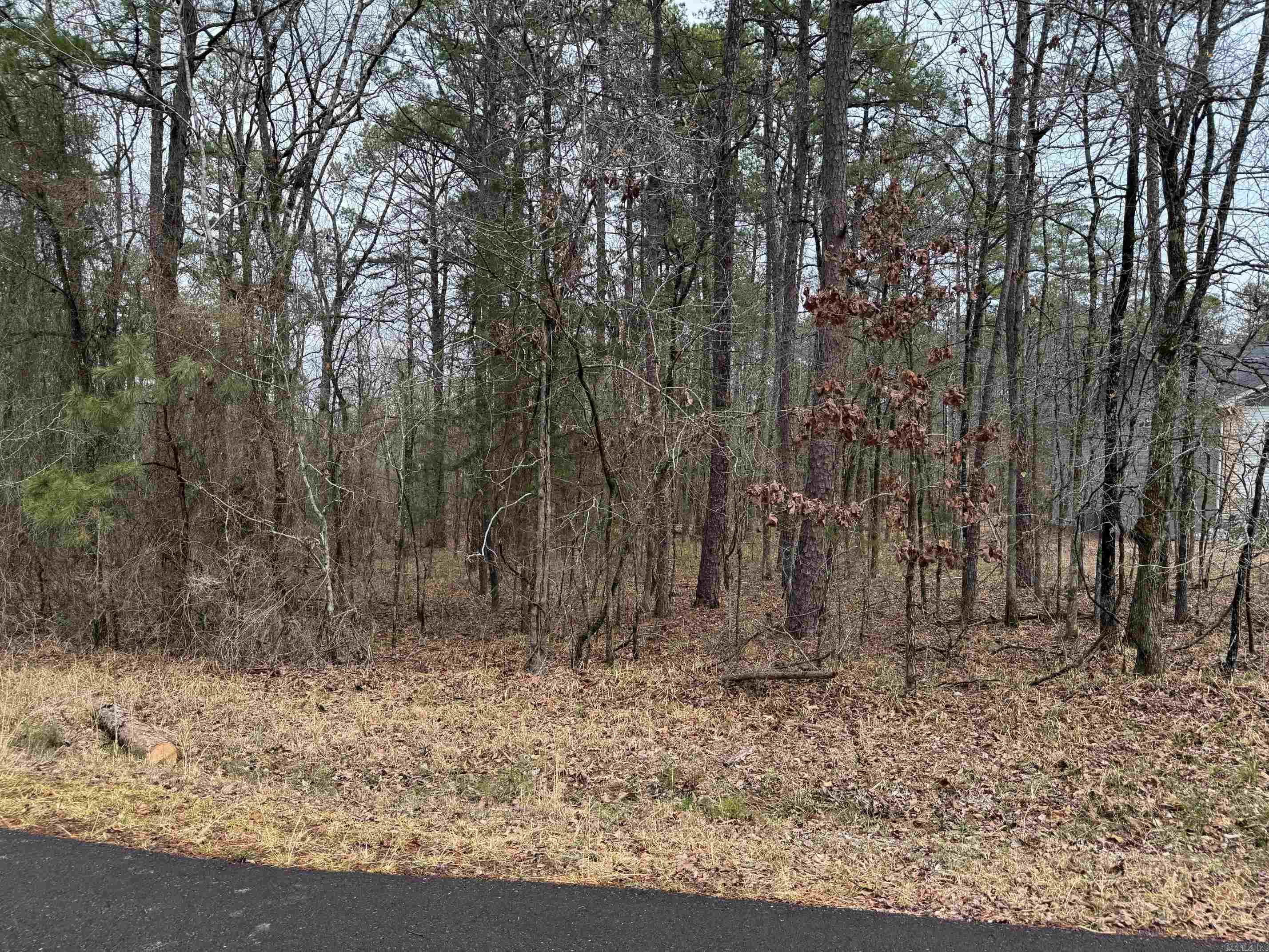 23 BRILLIANTE LANE  Hot Springs Village, AR