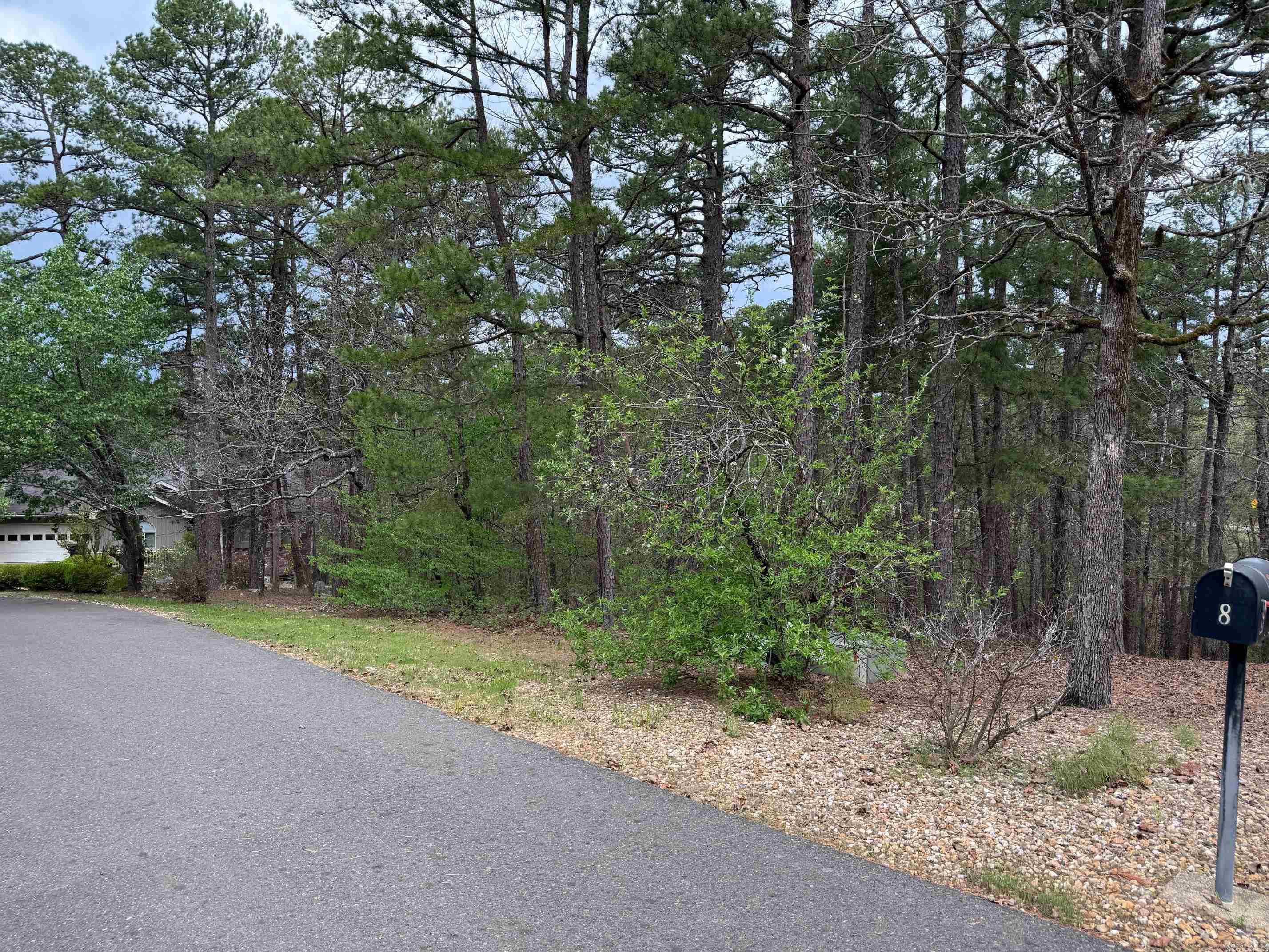 9 LOPEZ CIRCLE  Hot Springs Village, AR