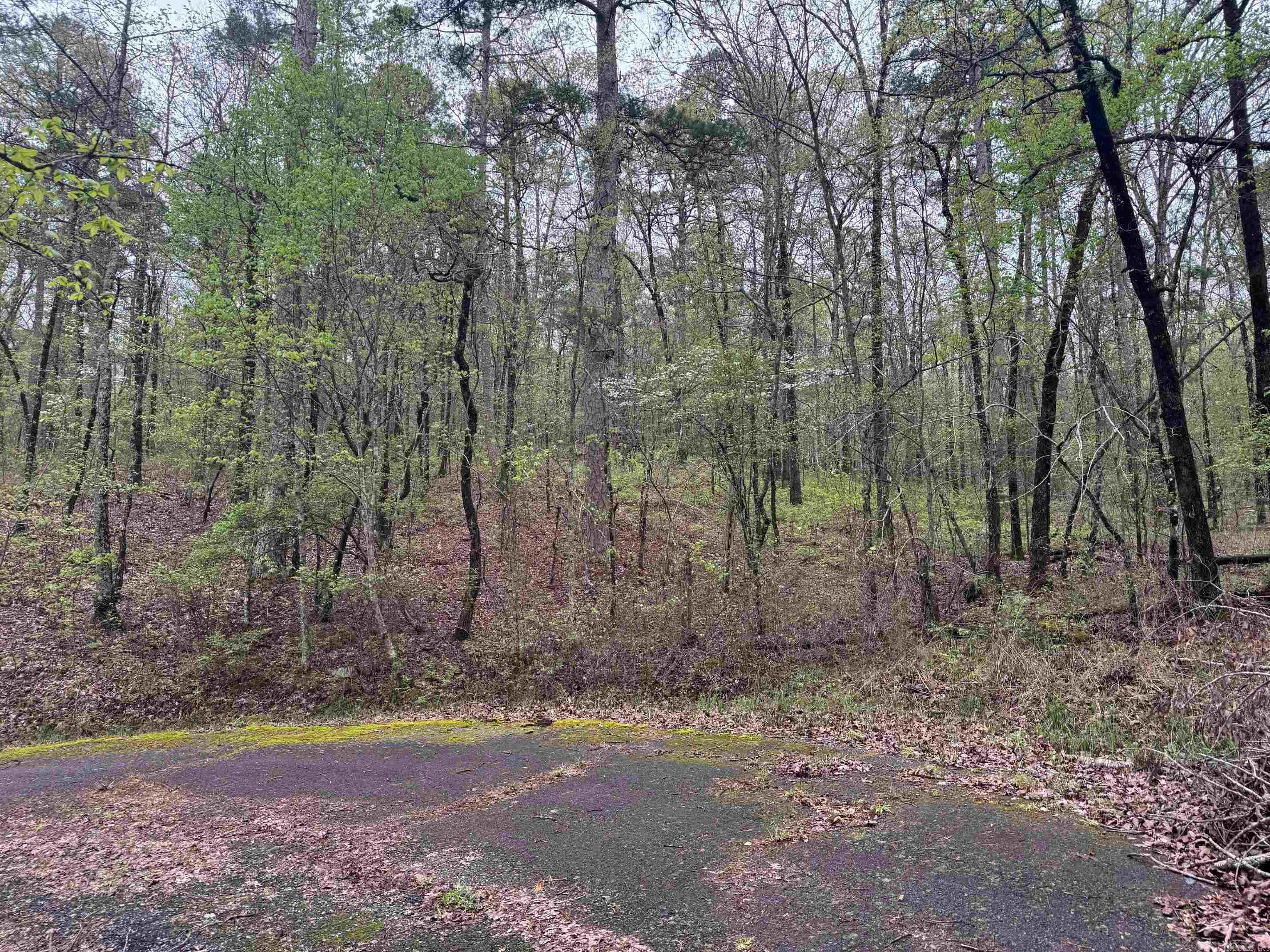 11 TAZON LANE  Hot Springs Village, AR