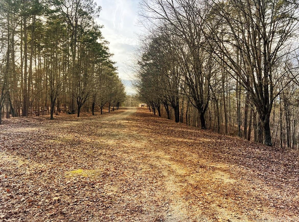 206 Avonshire  Hot Springs, AR