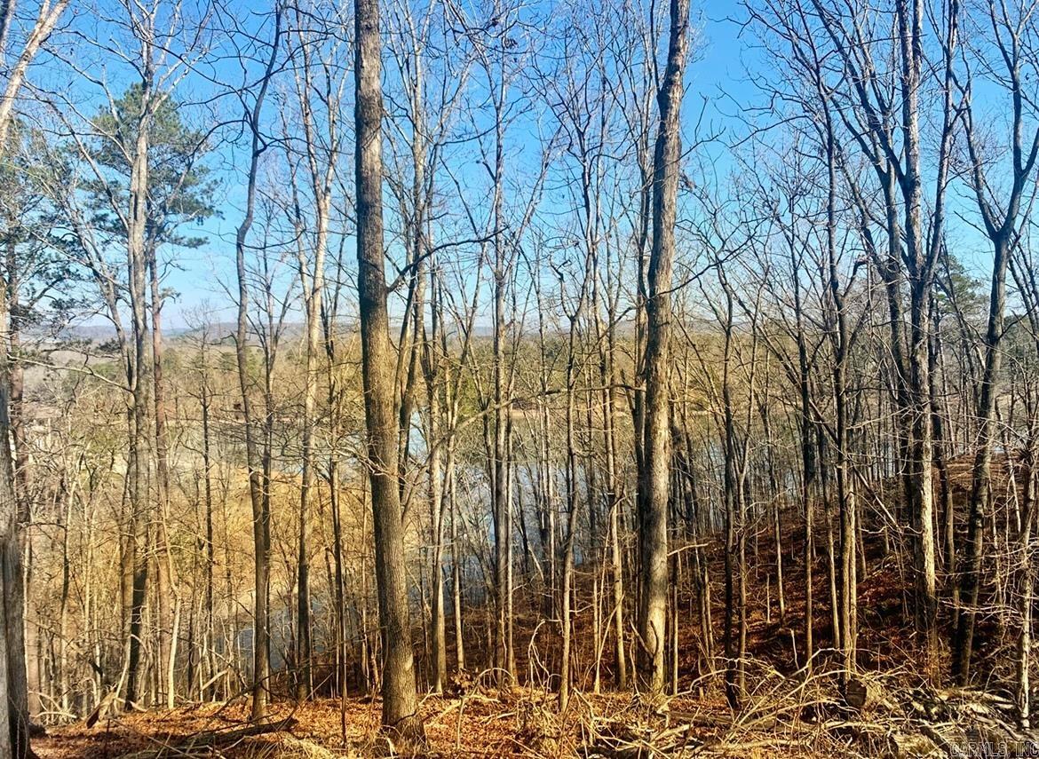 208 Avonshire  Hot Springs, AR