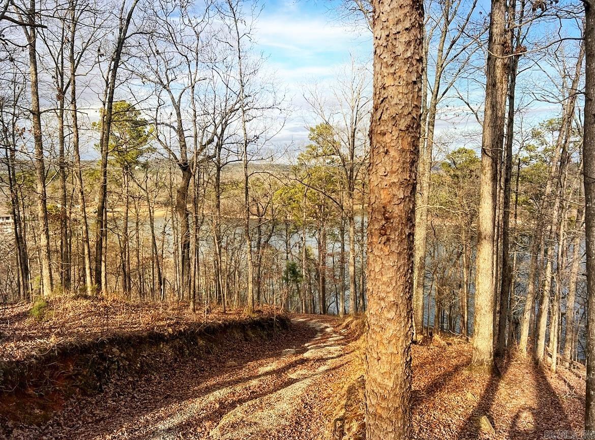 208 Avonshire  Hot Springs, AR