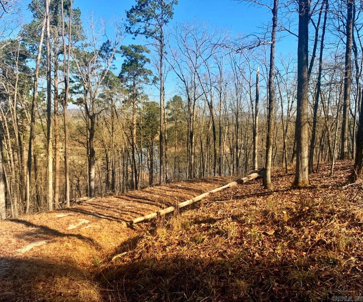 208 Avonshire  Hot Springs, AR