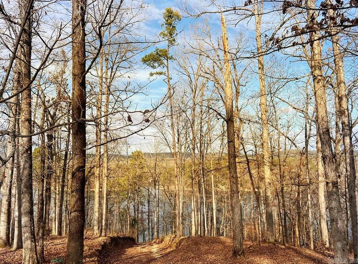 208 Avonshire  Hot Springs, AR