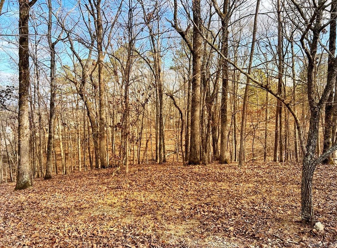 208 Avonshire  Hot Springs, AR