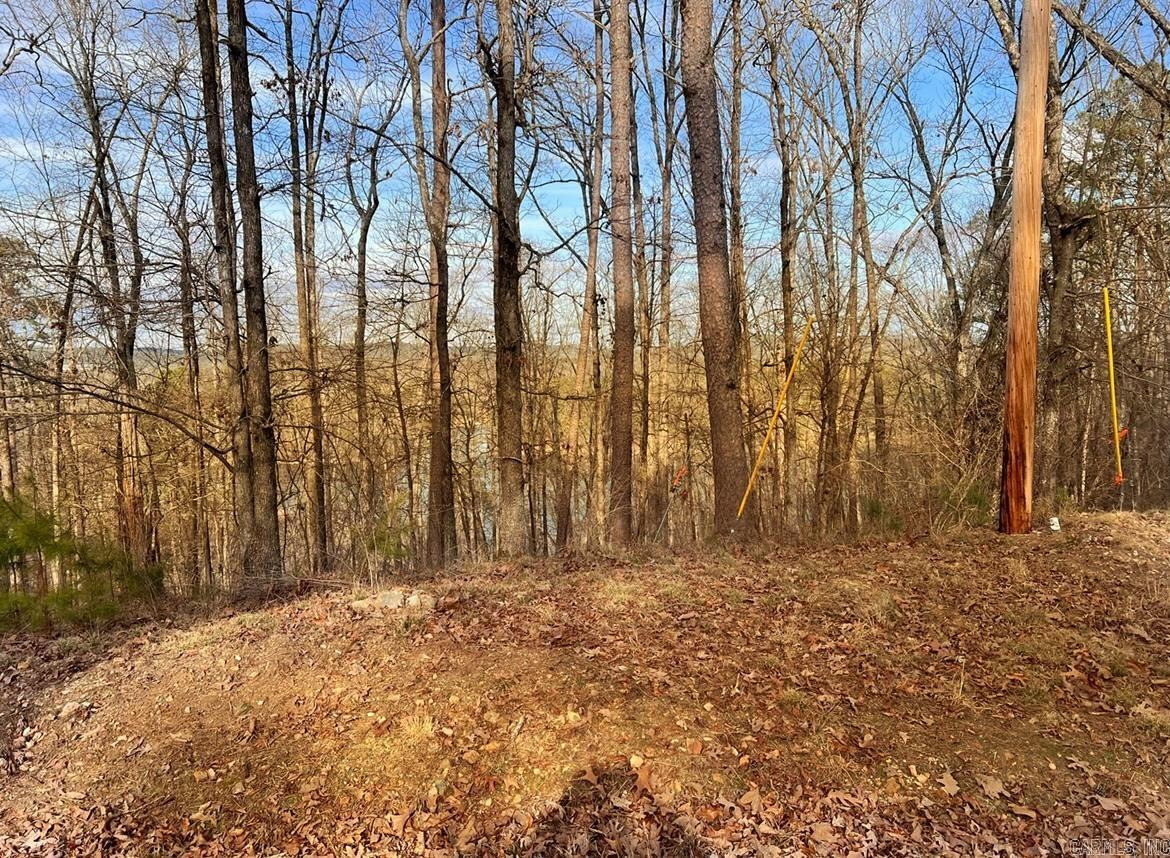 208 Avonshire  Hot Springs, AR