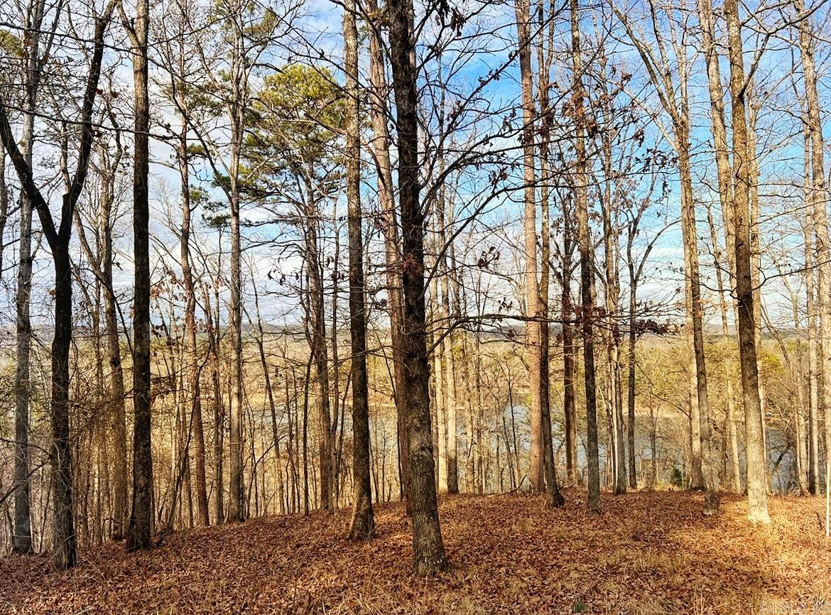 206 & 208 Avonshire  Hot Springs, AR