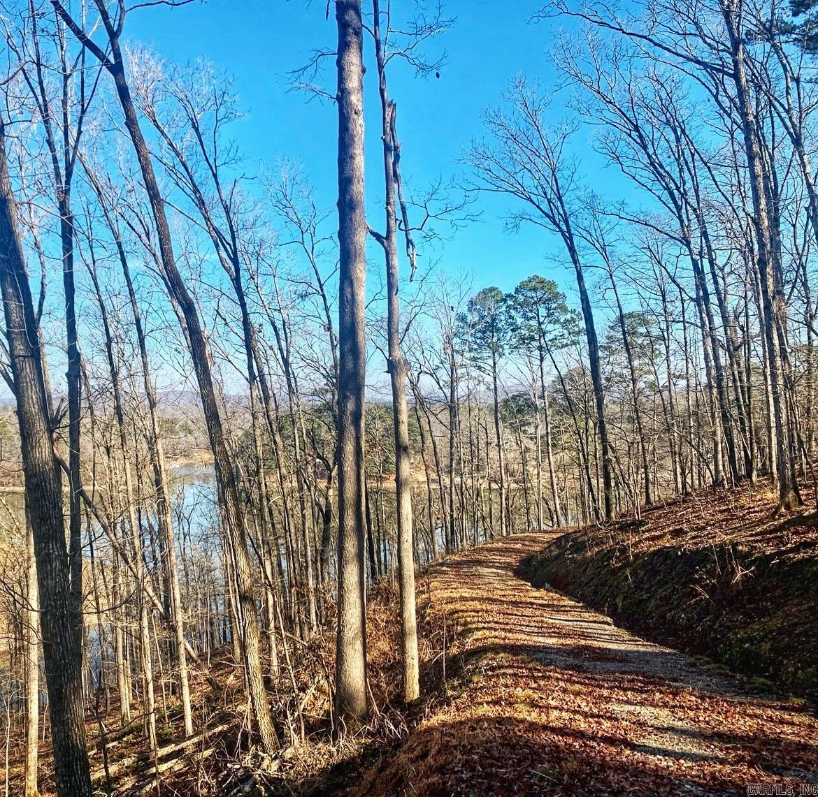 206 & 208 Avonshire  Hot Springs, AR