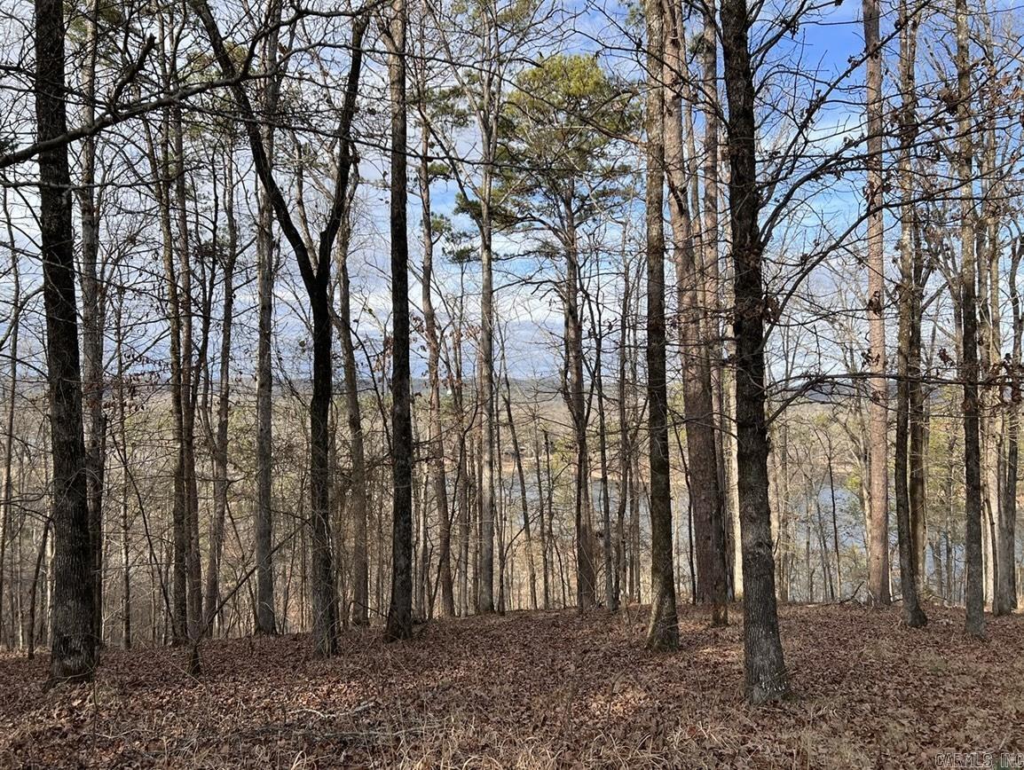 206 & 208 Avonshire  Hot Springs, AR