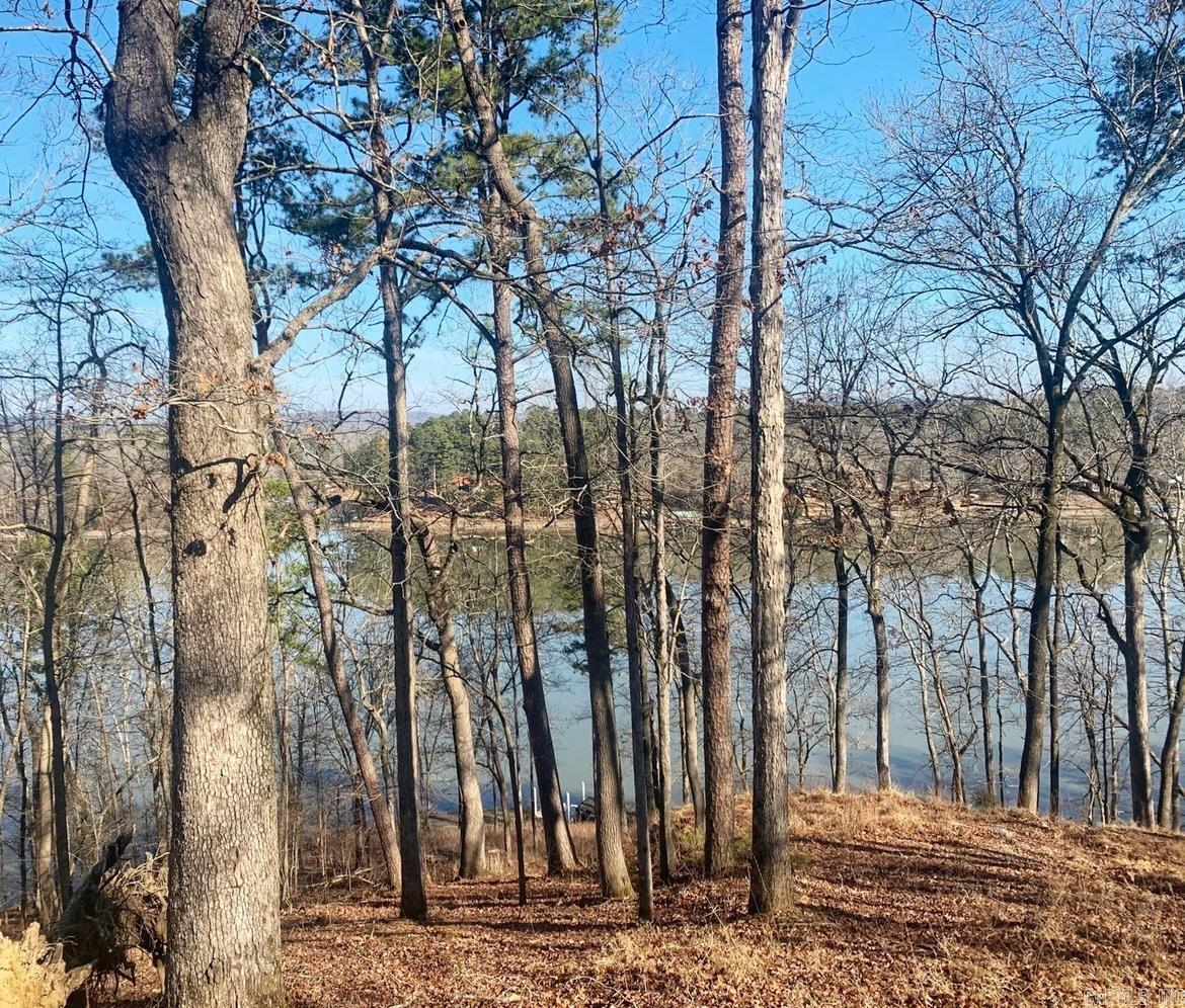 206 & 208 Avonshire  Hot Springs, AR