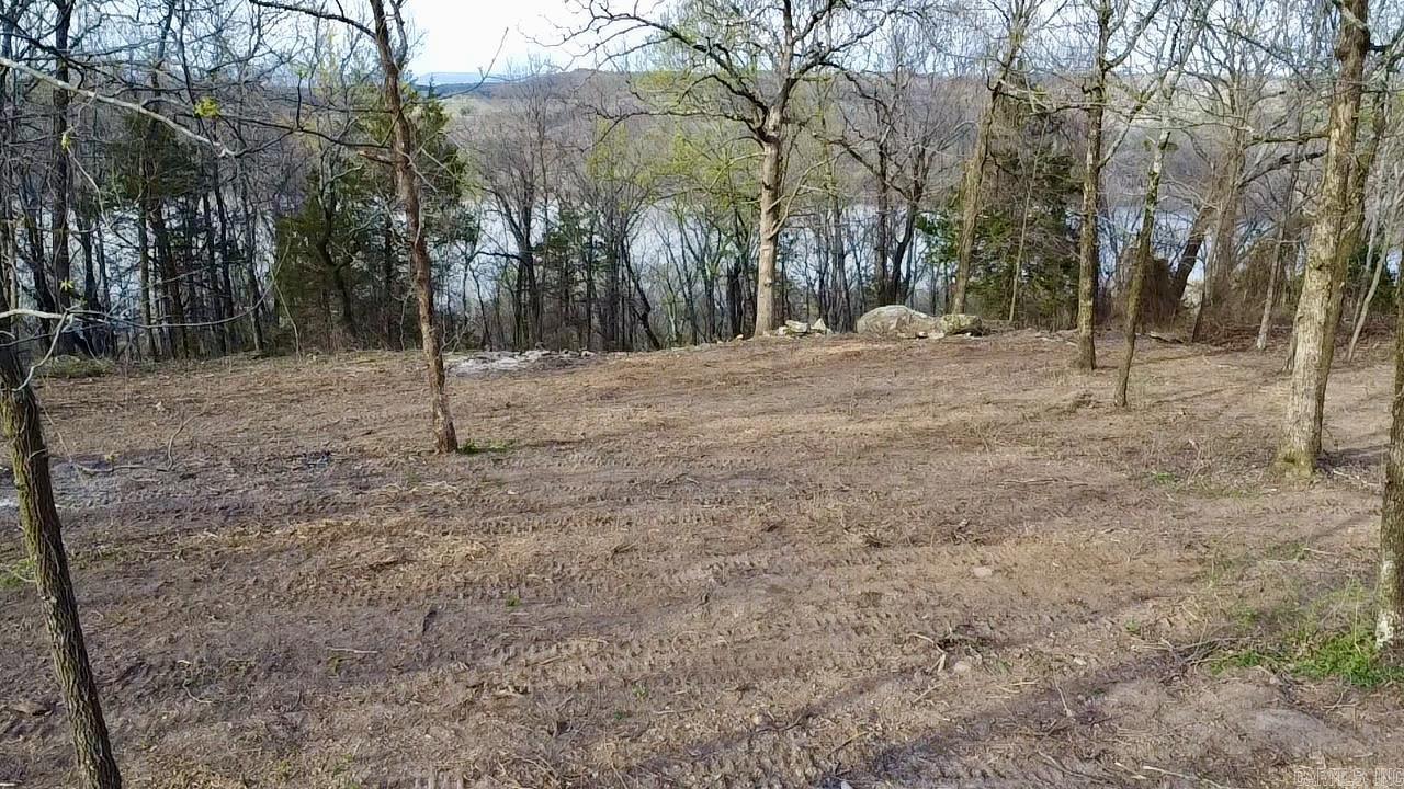 918 Citadel Bluff Trail  Cecil, AR
