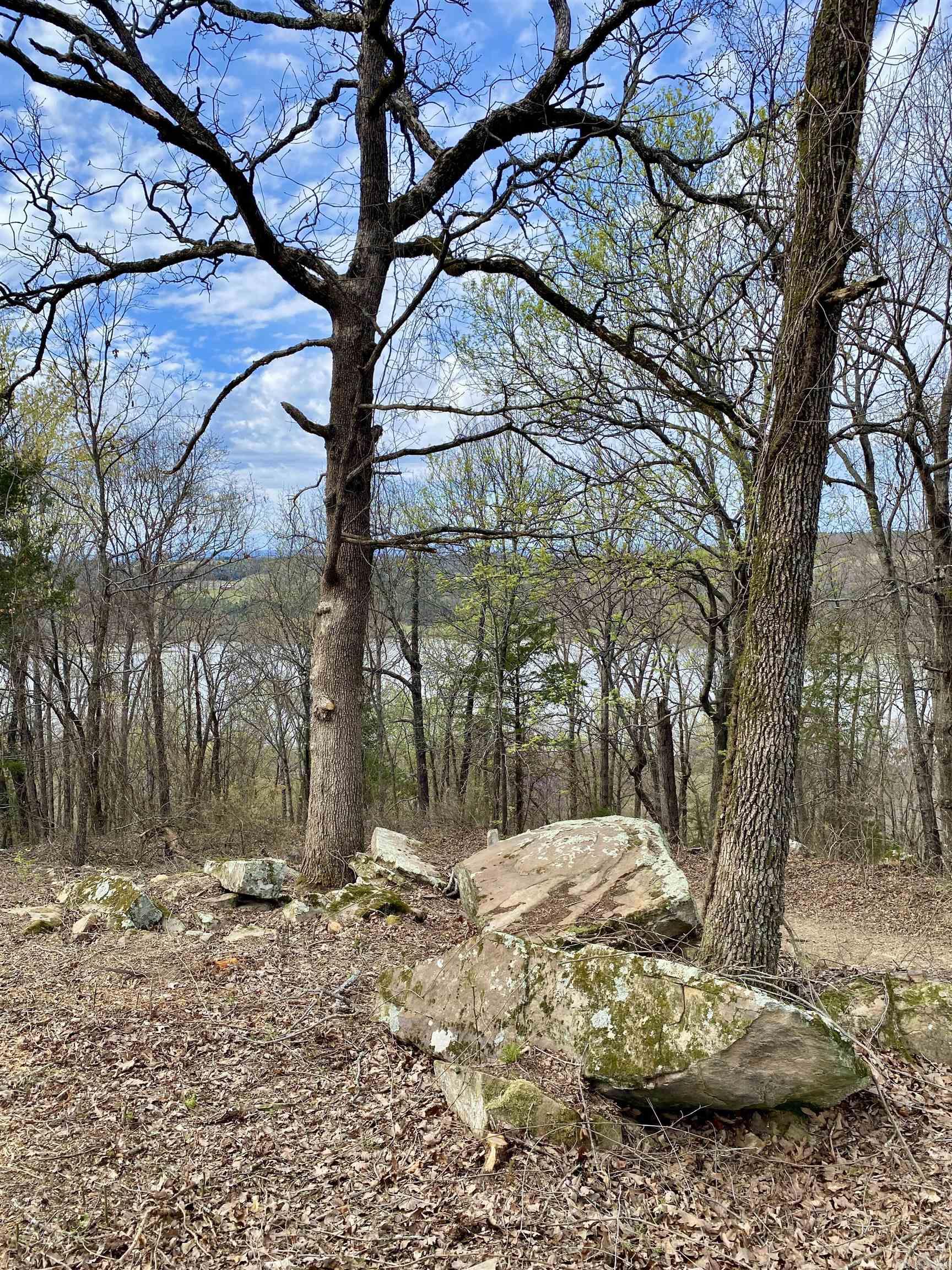 918 Citadel Bluff Trail  Cecil, AR