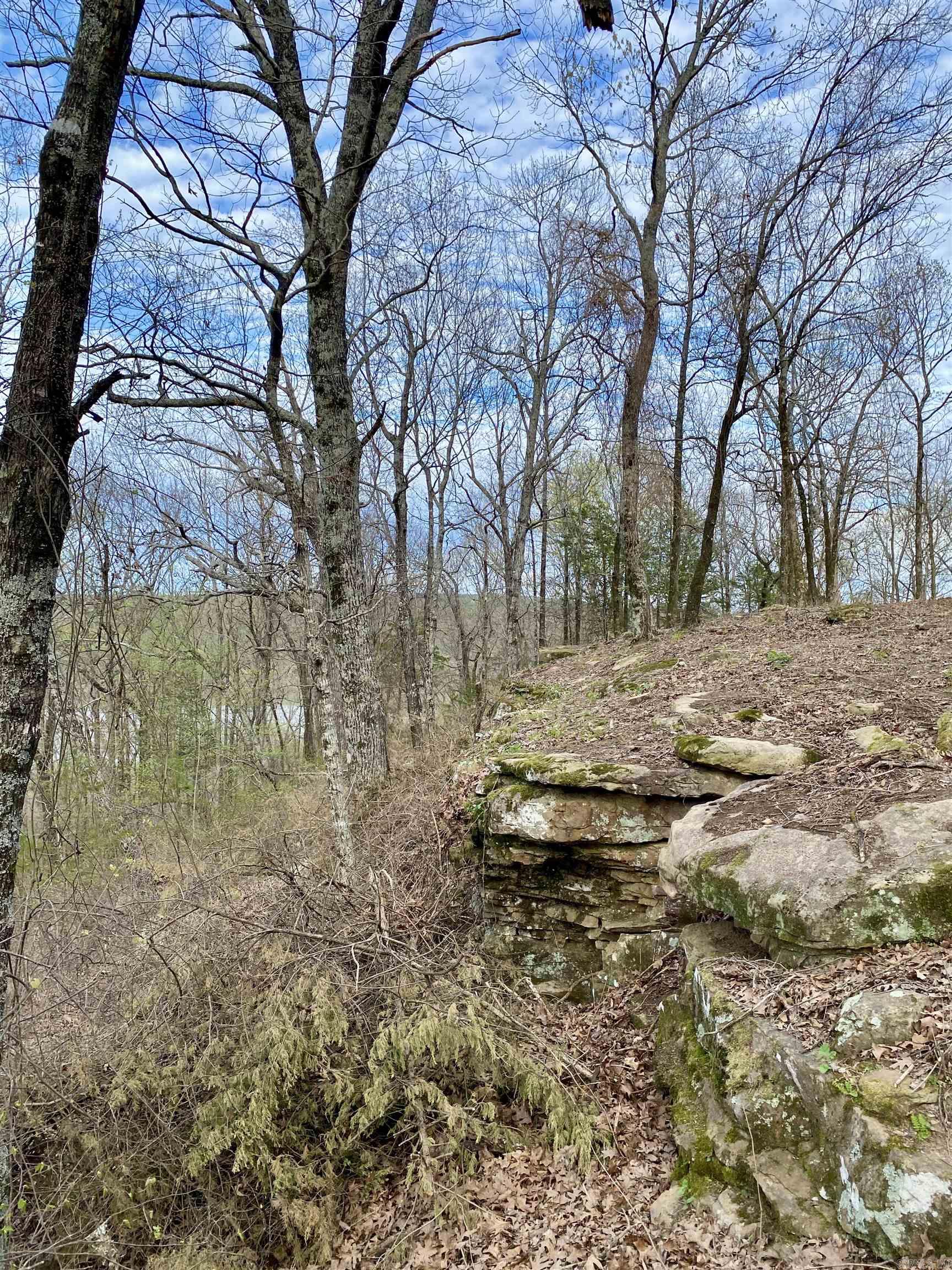 918 Citadel Bluff Trail  Cecil, AR